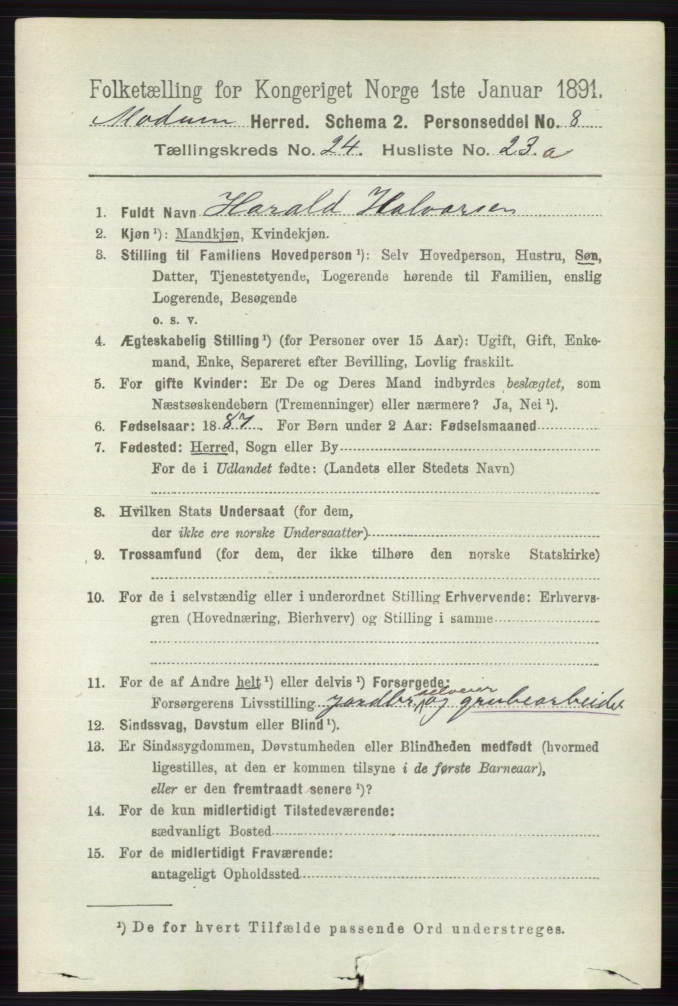 RA, 1891 census for 0623 Modum, 1891, p. 8991