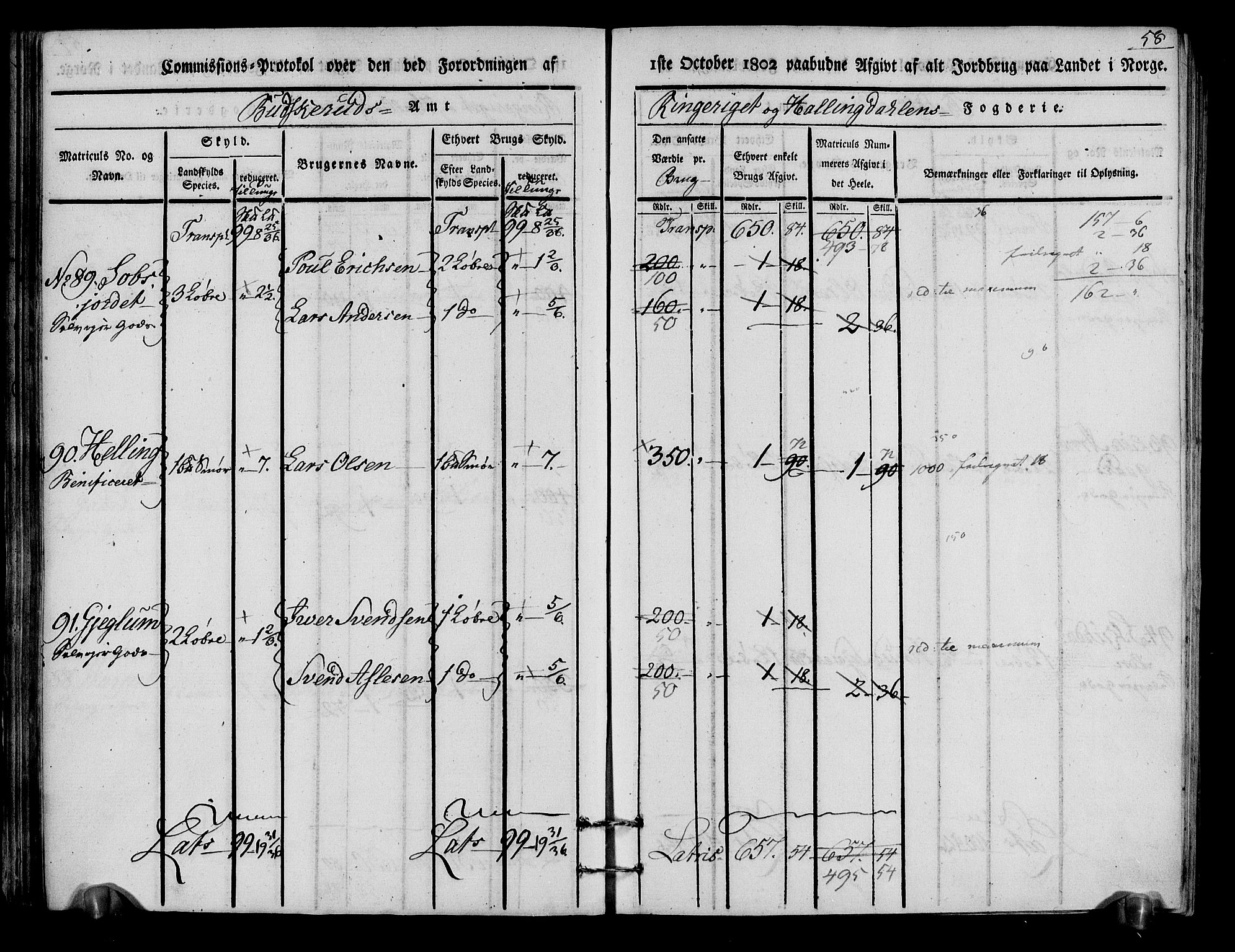 Rentekammeret inntil 1814, Realistisk ordnet avdeling, RA/EA-4070/N/Ne/Nea/L0048: Ringerike og Hallingdal fogderi. Kommisjonsprotokoll for Ål prestegjeld, 1803, p. 61