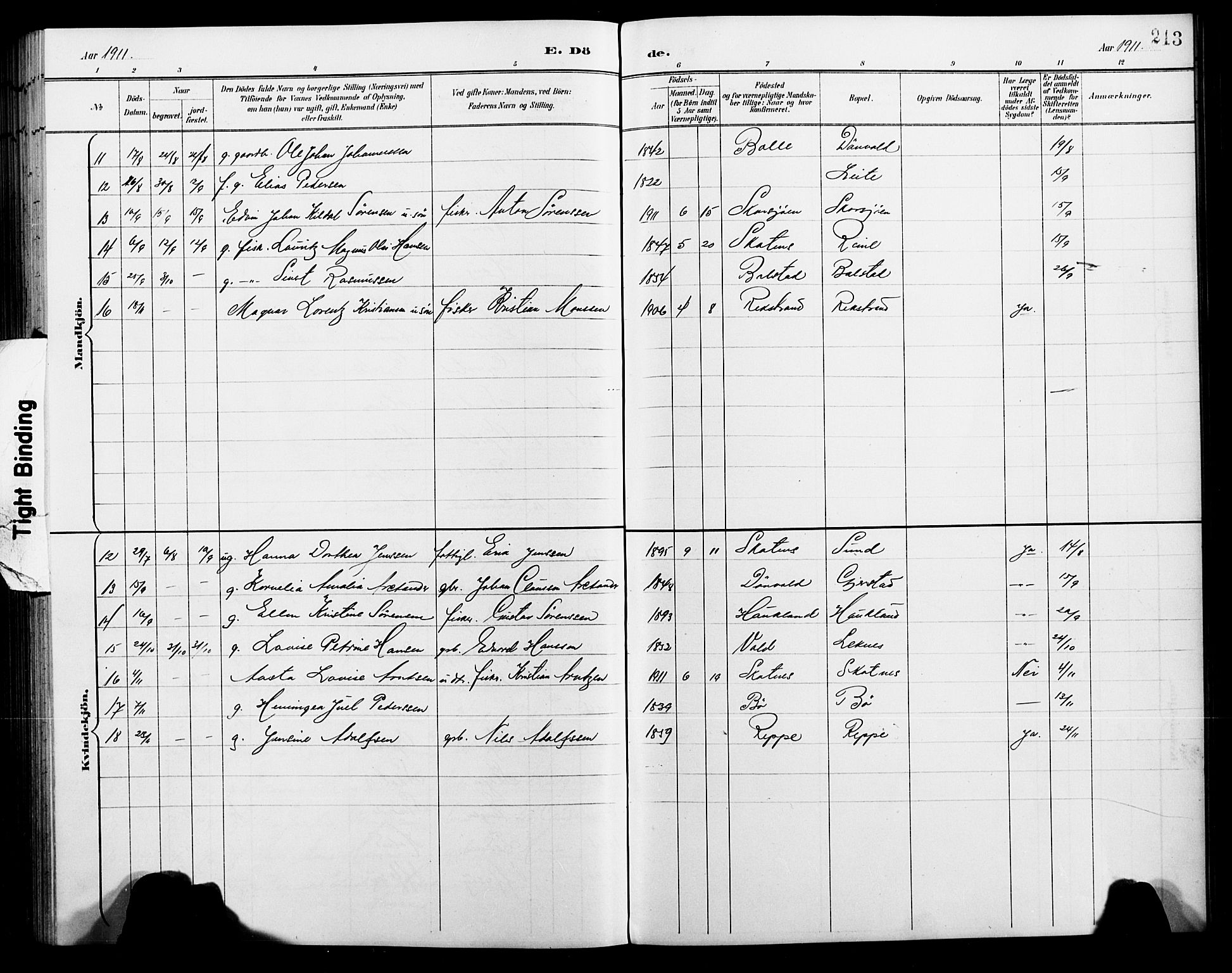 Ministerialprotokoller, klokkerbøker og fødselsregistre - Nordland, AV/SAT-A-1459/881/L1168: Parish register (copy) no. 881C05, 1900-1911, p. 213