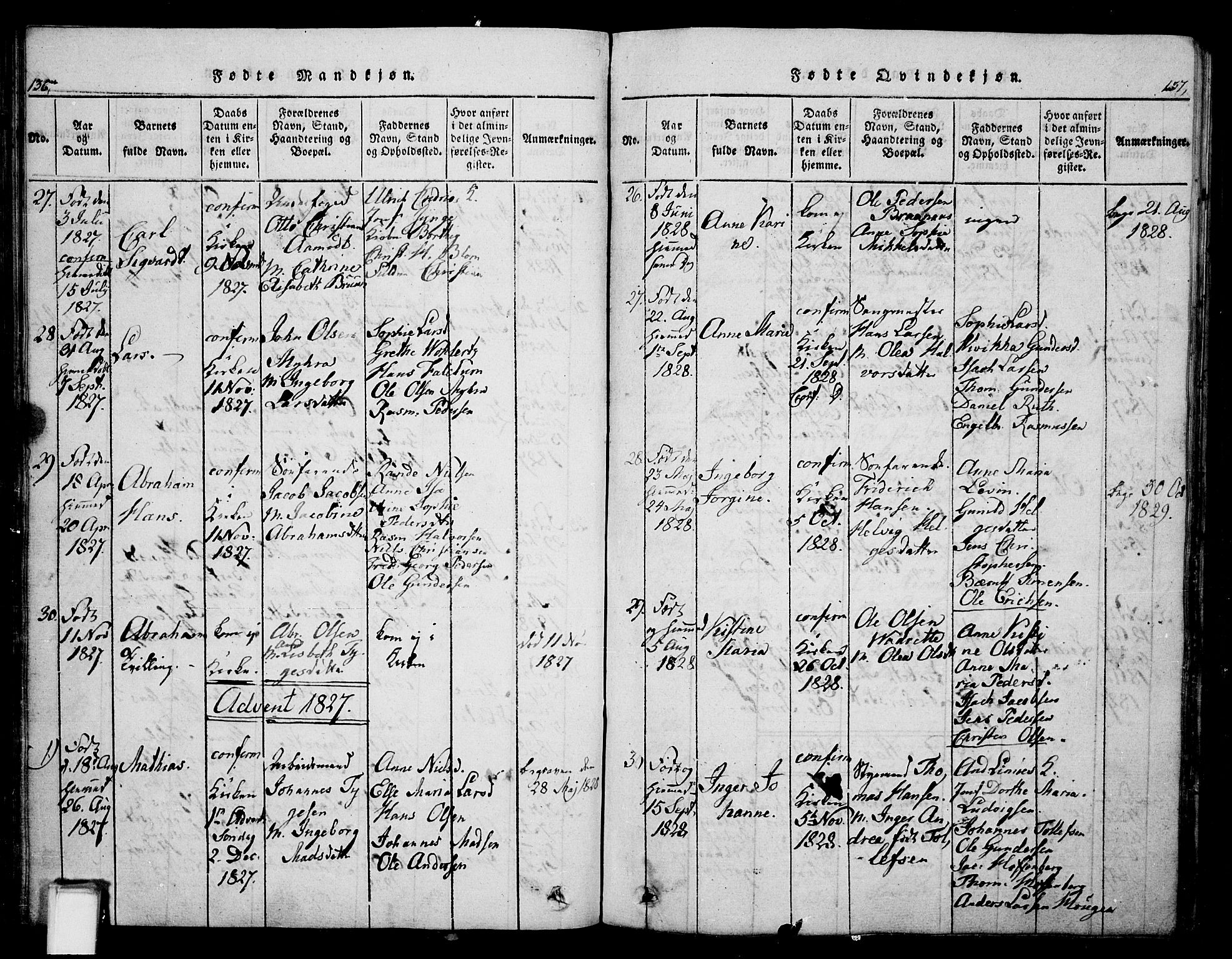 Skien kirkebøker, SAKO/A-302/G/Ga/L0002: Parish register (copy) no. 2, 1814-1842, p. 136-137