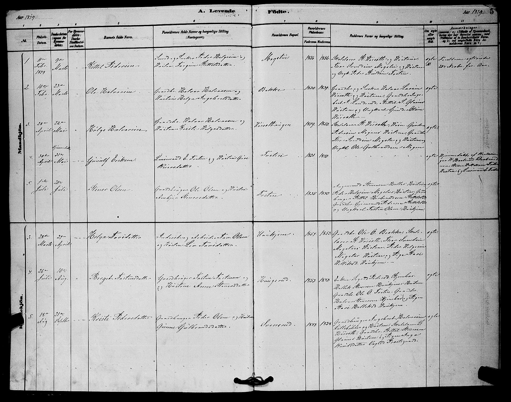 Rollag kirkebøker, AV/SAKO-A-240/G/Gb/L0002: Parish register (copy) no. II 2, 1878-1898, p. 5