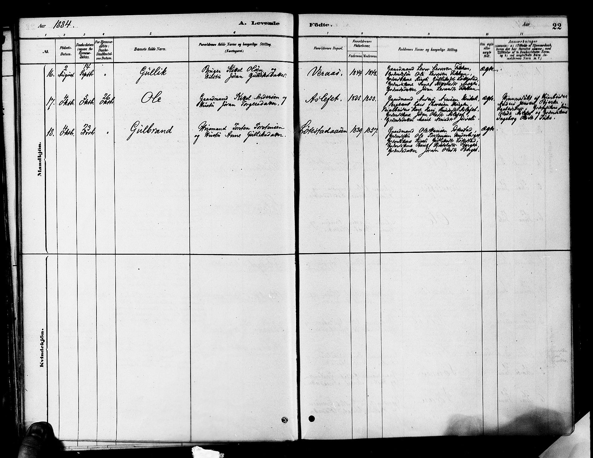 Flesberg kirkebøker, SAKO/A-18/F/Fa/L0008: Parish register (official) no. I 8, 1879-1899, p. 22