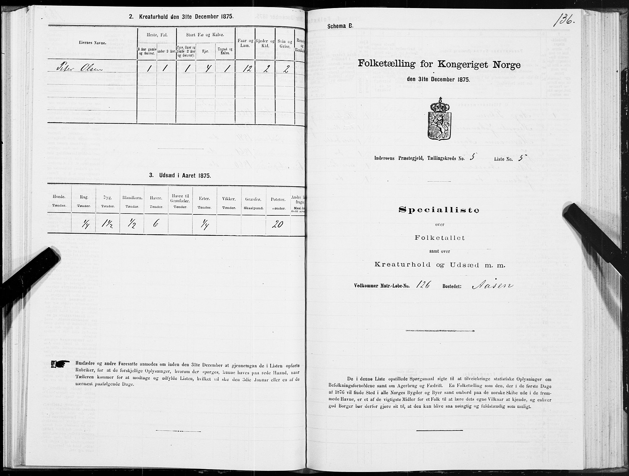 SAT, 1875 census for 1729P Inderøy, 1875, p. 3136