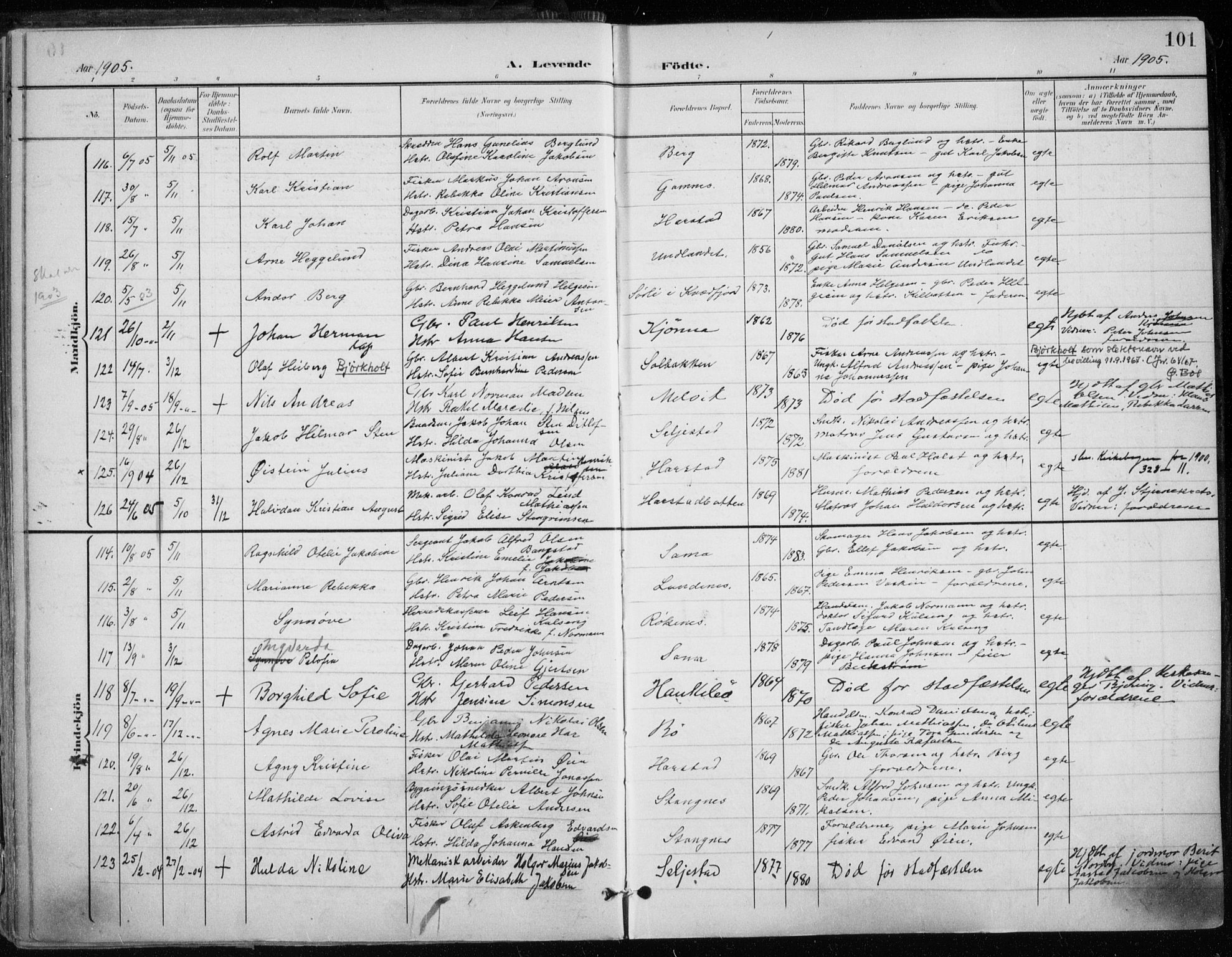 Trondenes sokneprestkontor, AV/SATØ-S-1319/H/Ha/L0017kirke: Parish register (official) no. 17, 1899-1908, p. 101