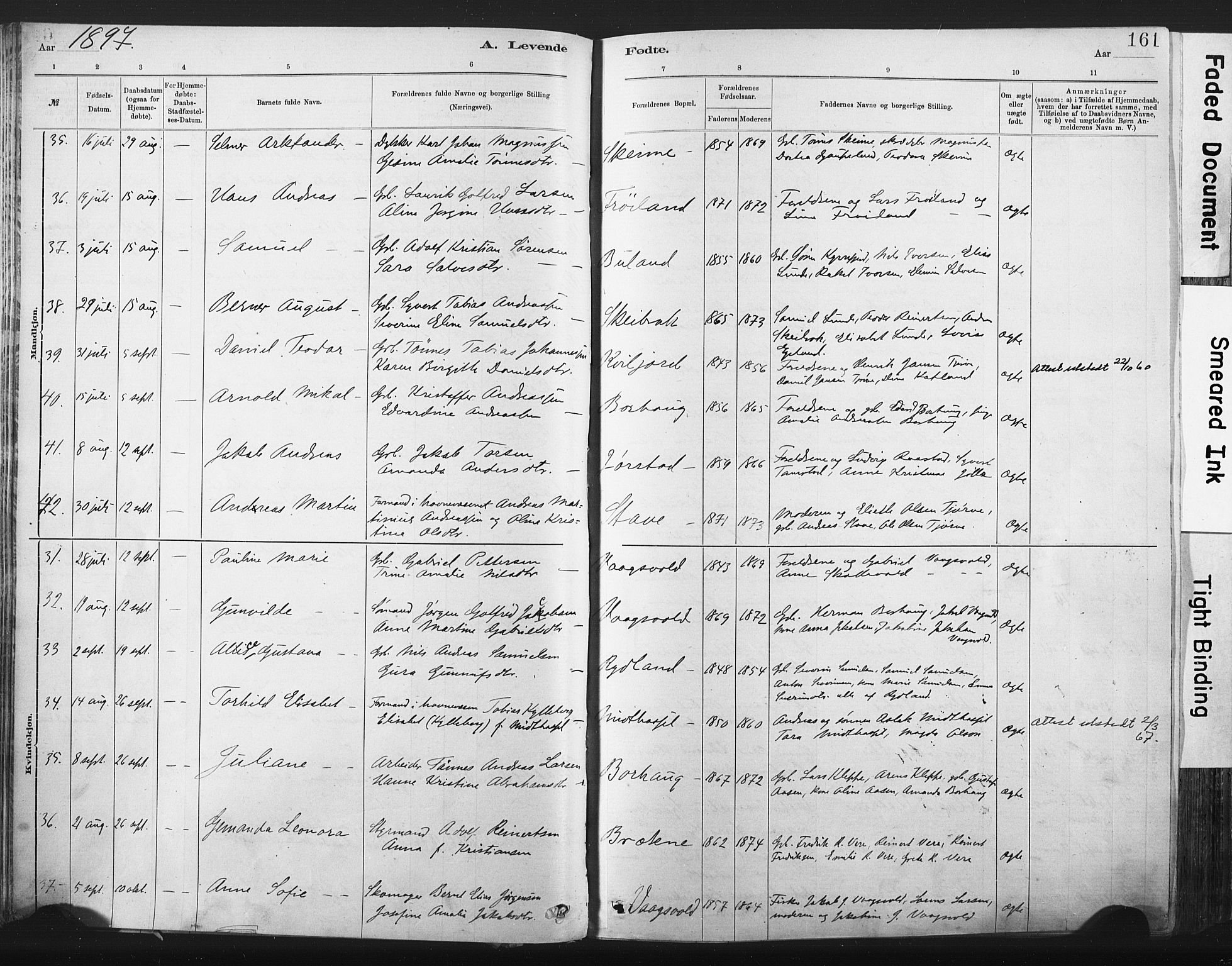 Lista sokneprestkontor, AV/SAK-1111-0027/F/Fa/L0012: Parish register (official) no. A 12, 1879-1903, p. 161