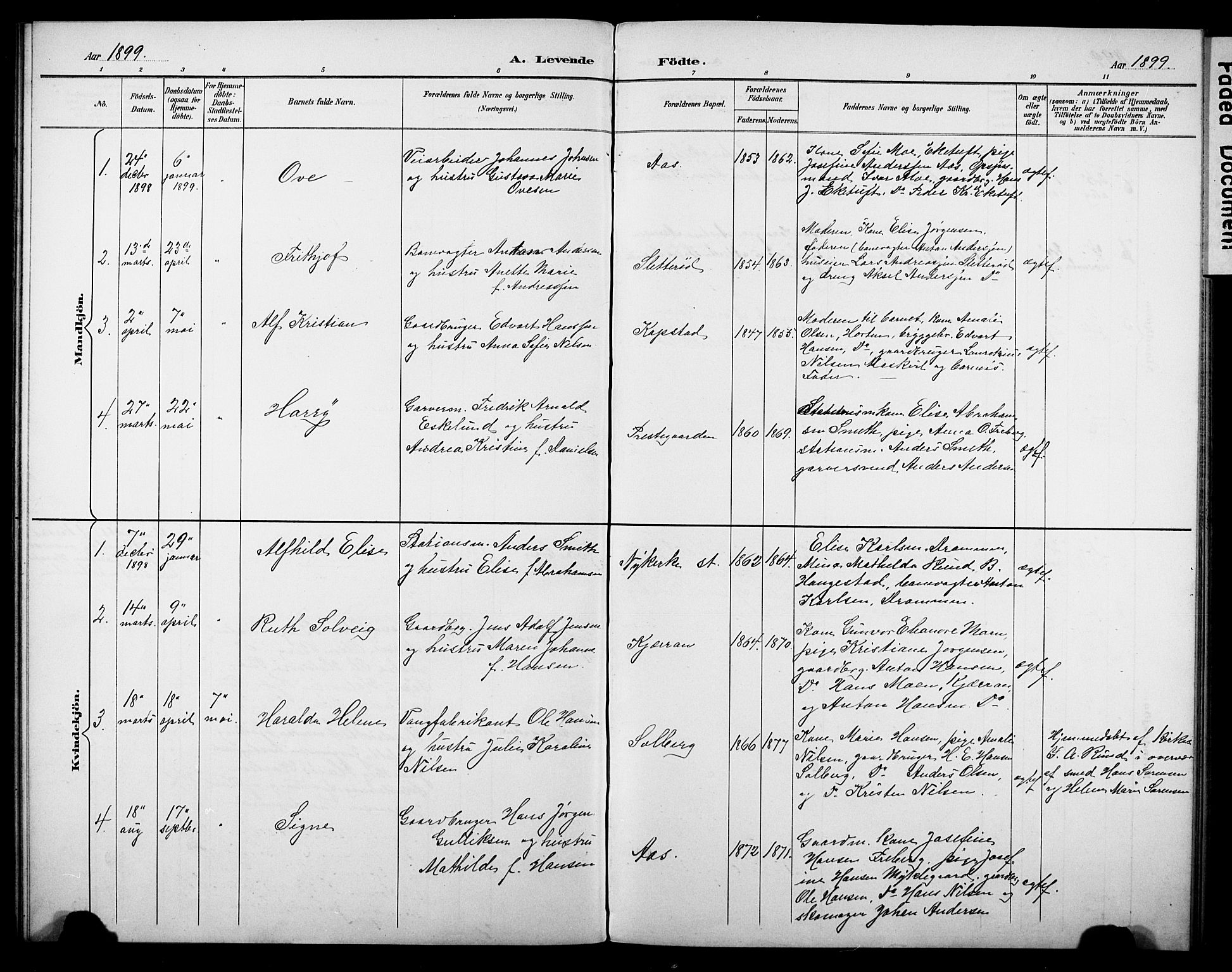 Borre kirkebøker, AV/SAKO-A-338/G/Gb/L0003: Parish register (copy) no. II 3, 1893-1905