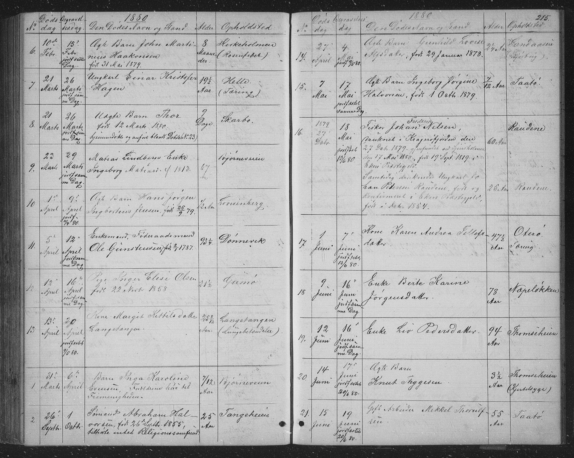 Skåtøy kirkebøker, AV/SAKO-A-304/G/Ga/L0002: Parish register (copy) no. I 2, 1872-1884, p. 215