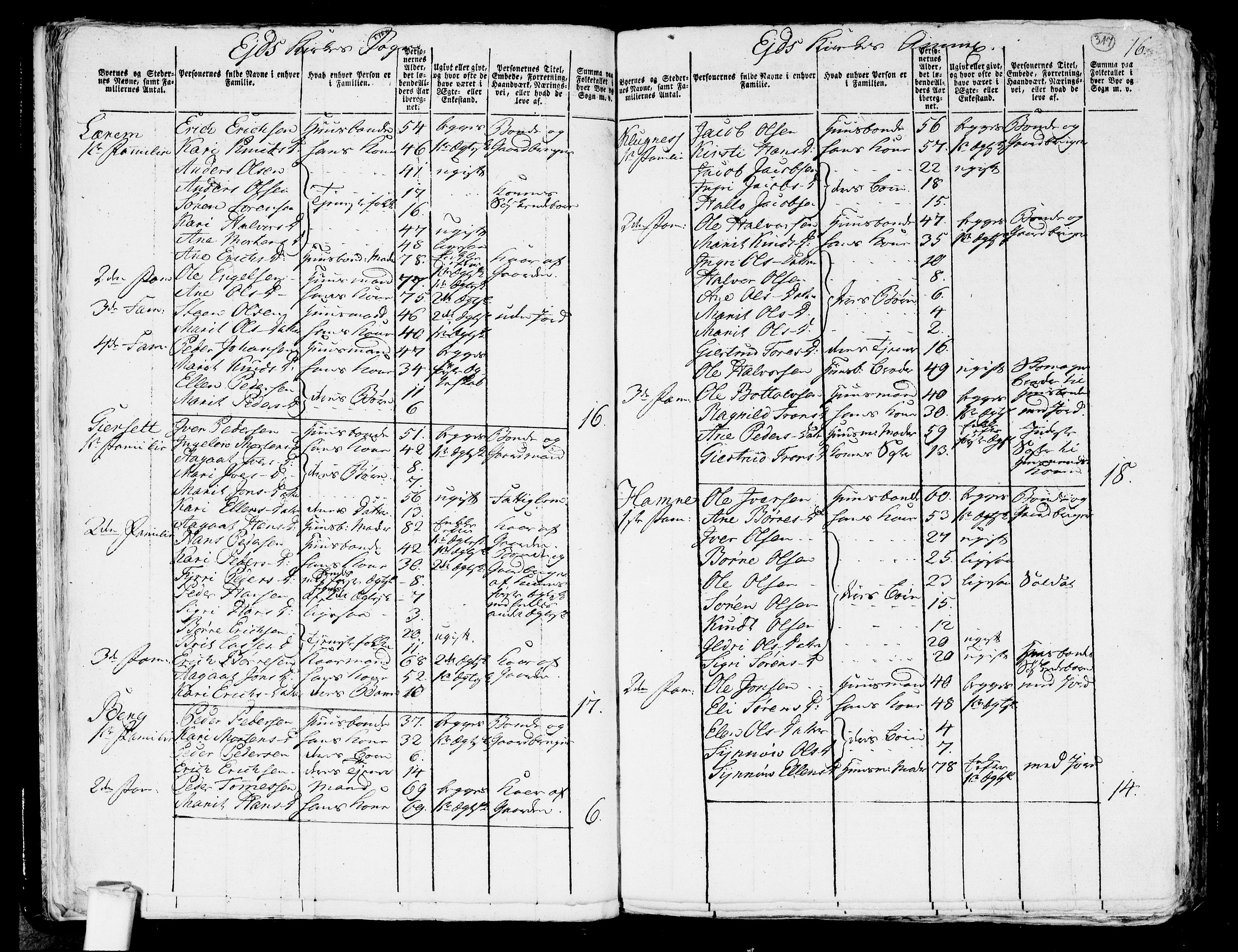 RA, 1801 census for 1539P Grytten, 1801, p. 316b-317a