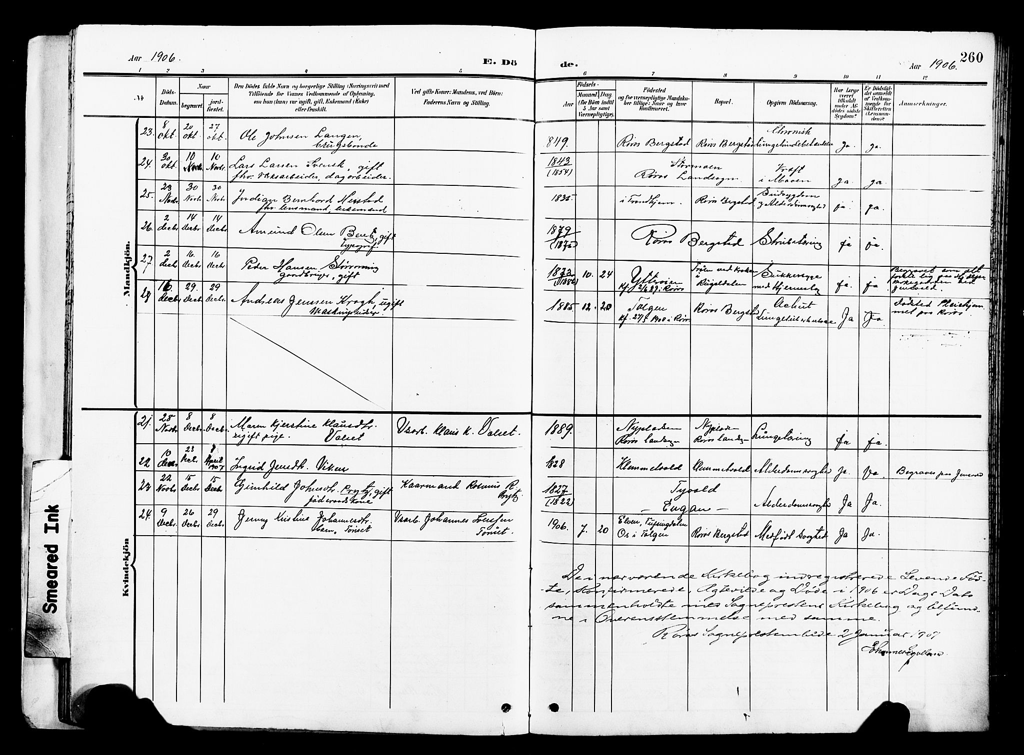 Ministerialprotokoller, klokkerbøker og fødselsregistre - Sør-Trøndelag, SAT/A-1456/681/L0942: Parish register (copy) no. 681C06, 1906-1925, p. 260
