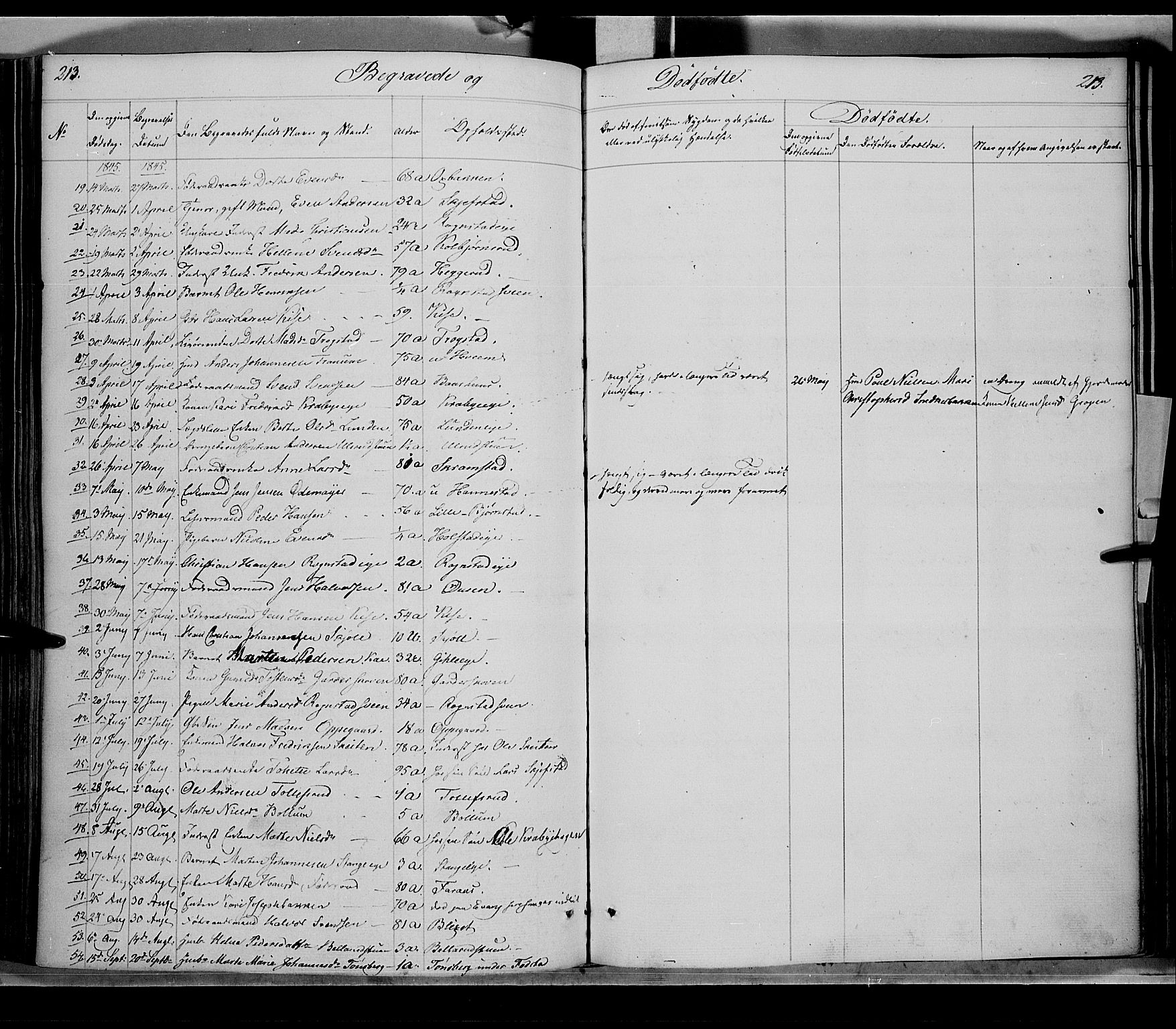 Østre Toten prestekontor, SAH/PREST-104/H/Ha/Haa/L0002: Parish register (official) no. 2, 1840-1847, p. 213