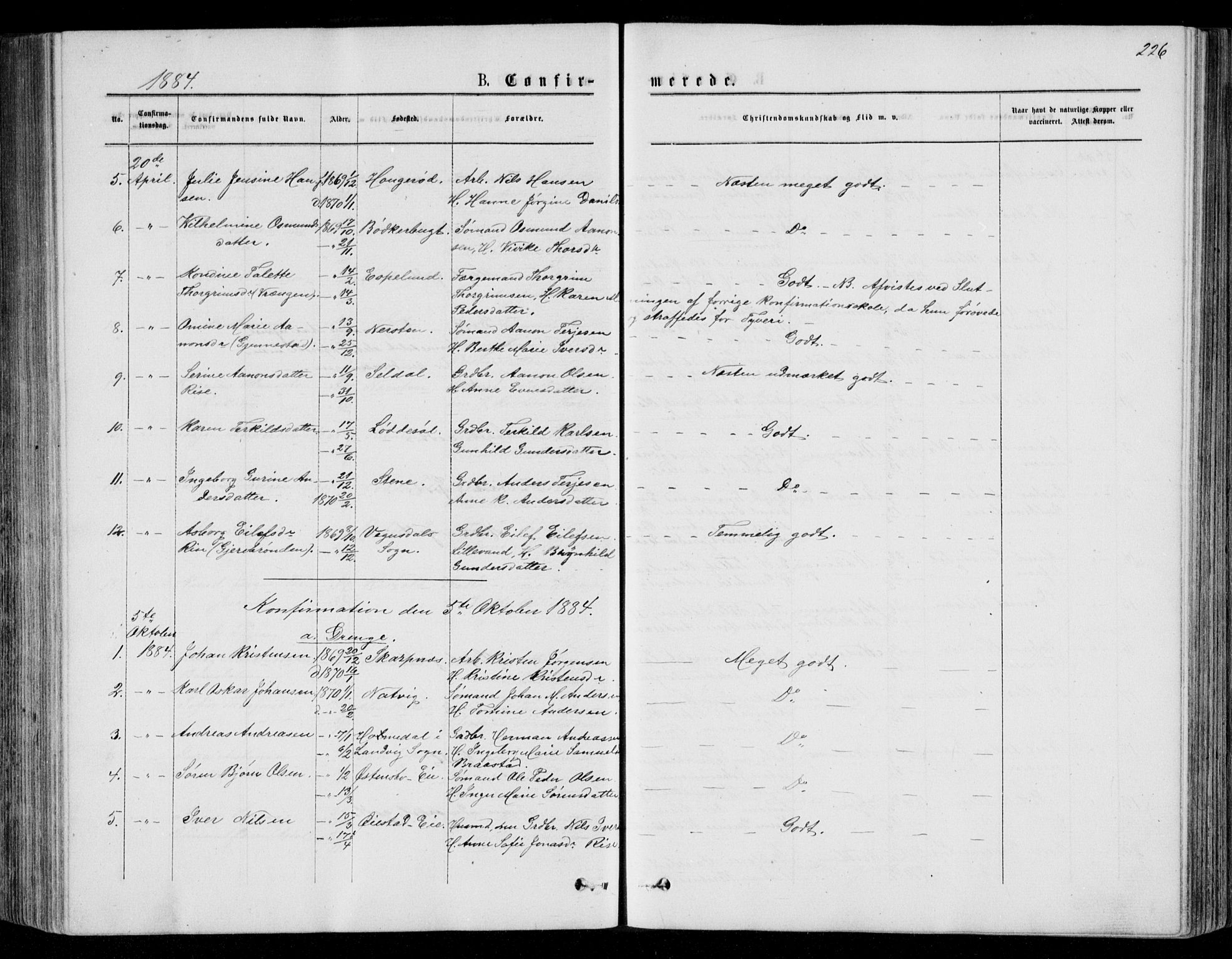 Øyestad sokneprestkontor, SAK/1111-0049/F/Fb/L0008: Parish register (copy) no. B 8, 1872-1886, p. 226