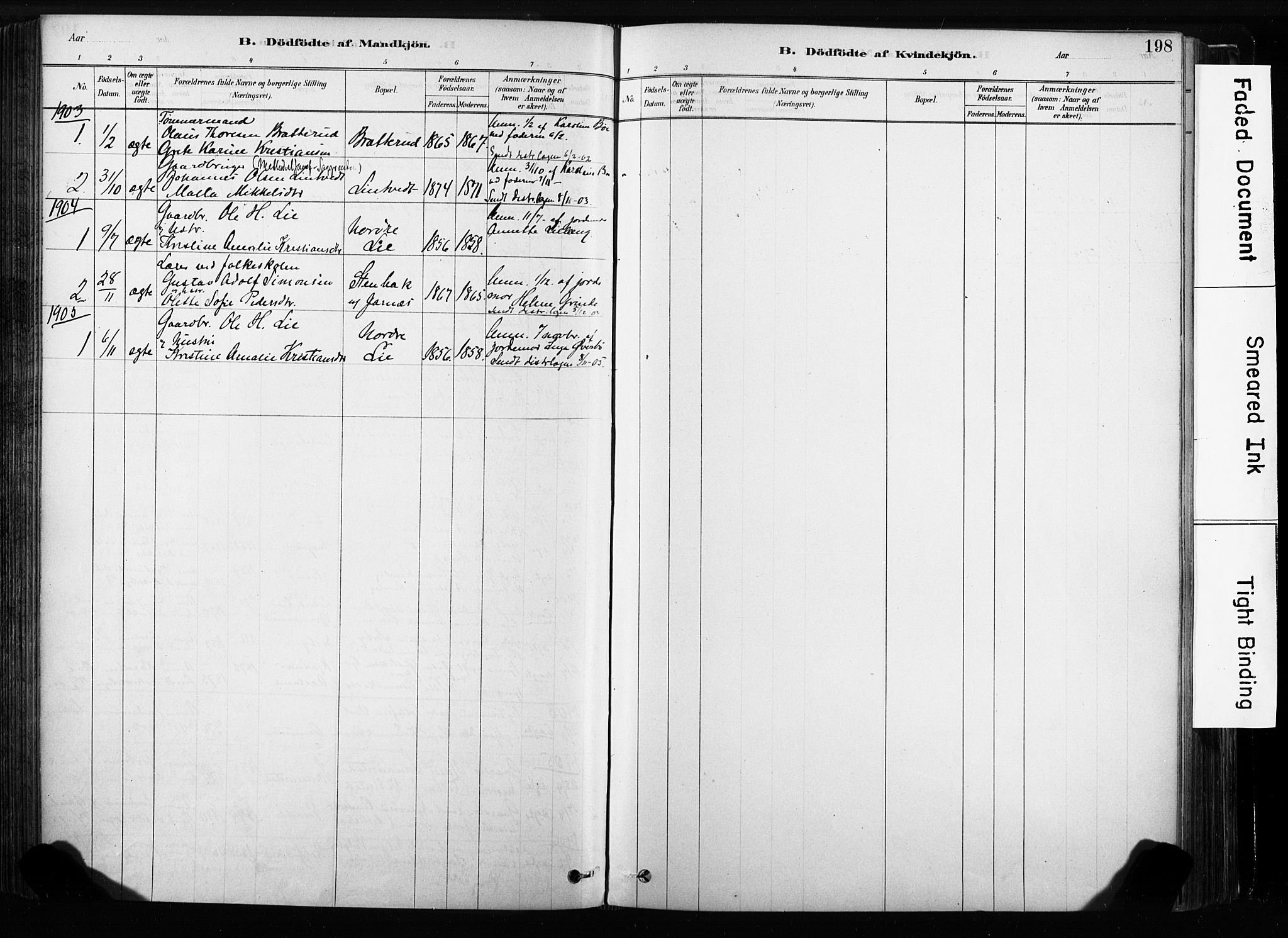 Sandsvær kirkebøker, AV/SAKO-A-244/F/Fb/L0001: Parish register (official) no. II 1, 1878-1906, p. 198