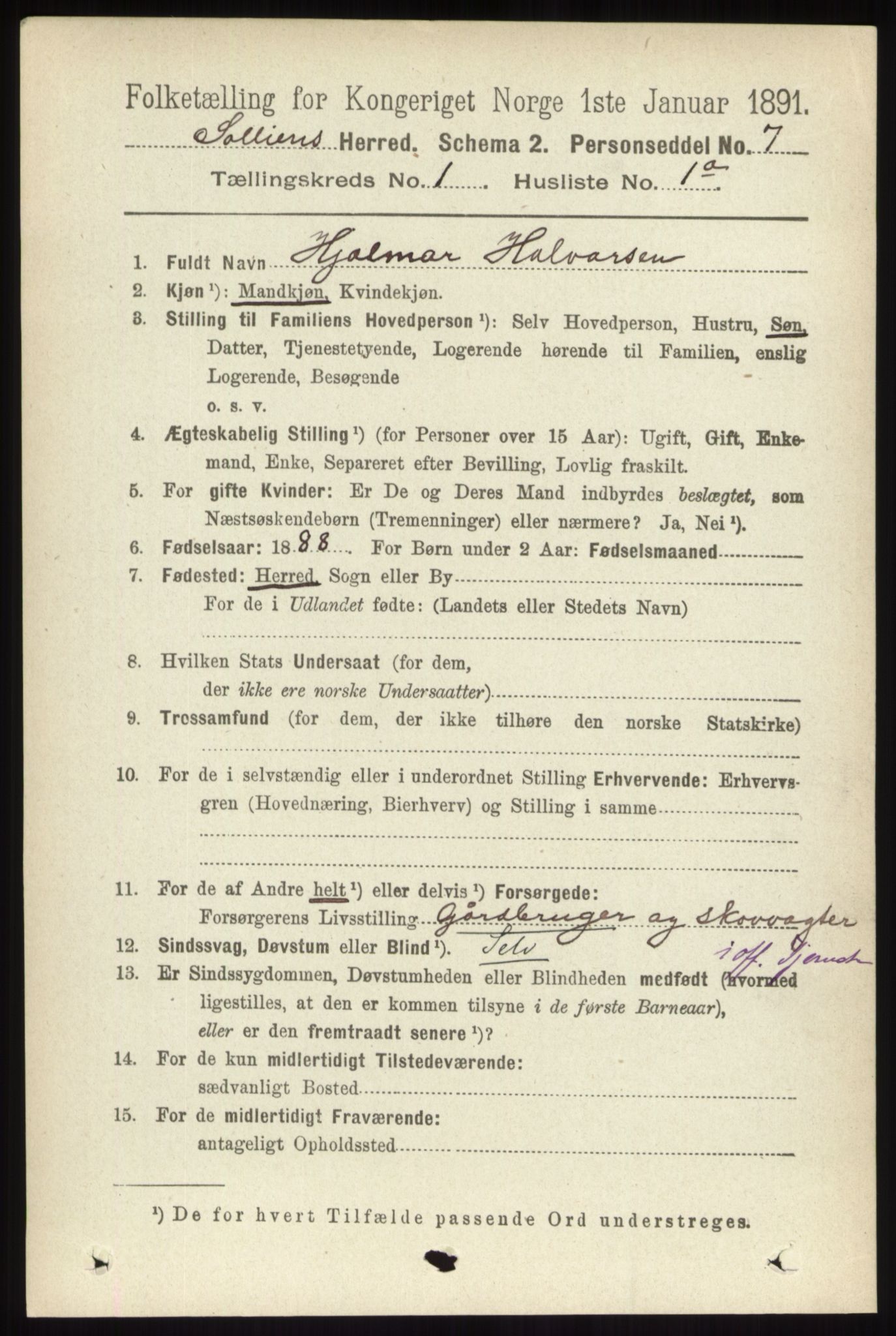 RA, 1891 census for 0431 Sollia, 1891, p. 99