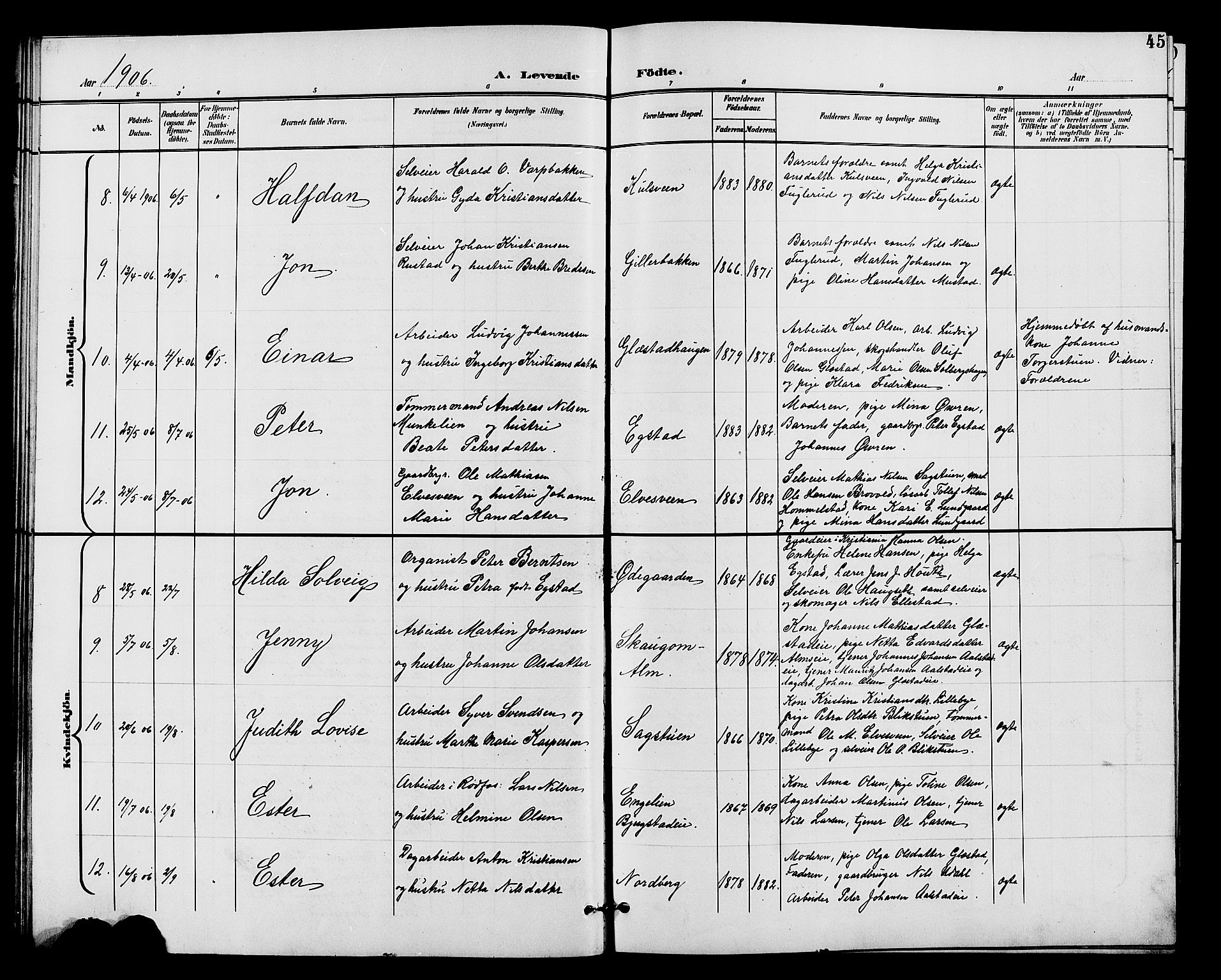 Vardal prestekontor, AV/SAH-PREST-100/H/Ha/Hab/L0011: Parish register (copy) no. 11, 1899-1913, p. 45