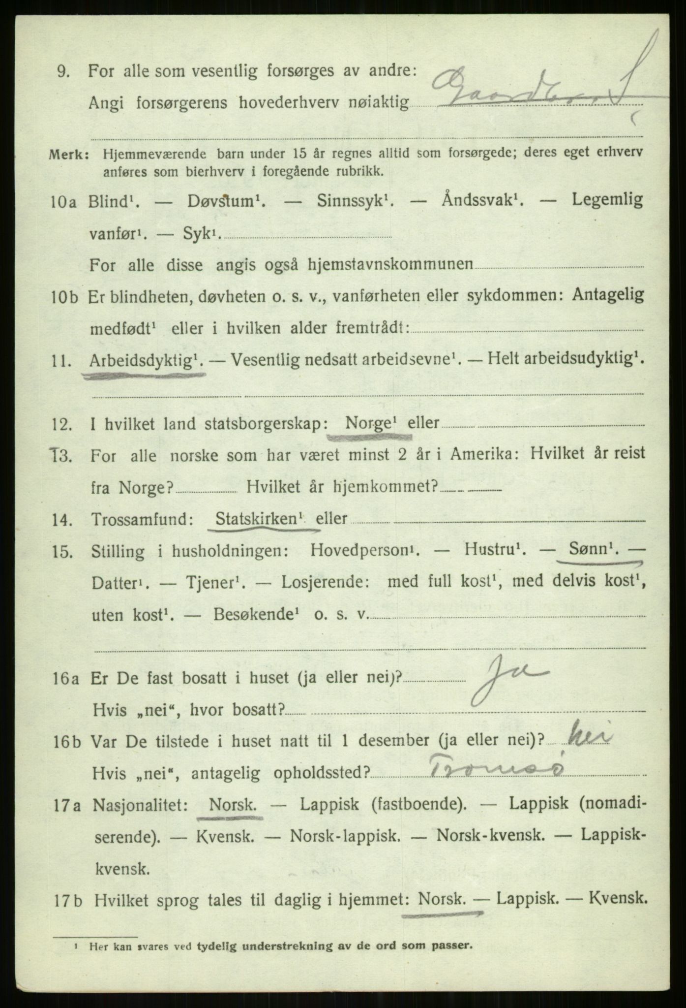 SATØ, 1920 census for Tromsøysund, 1920, p. 6239