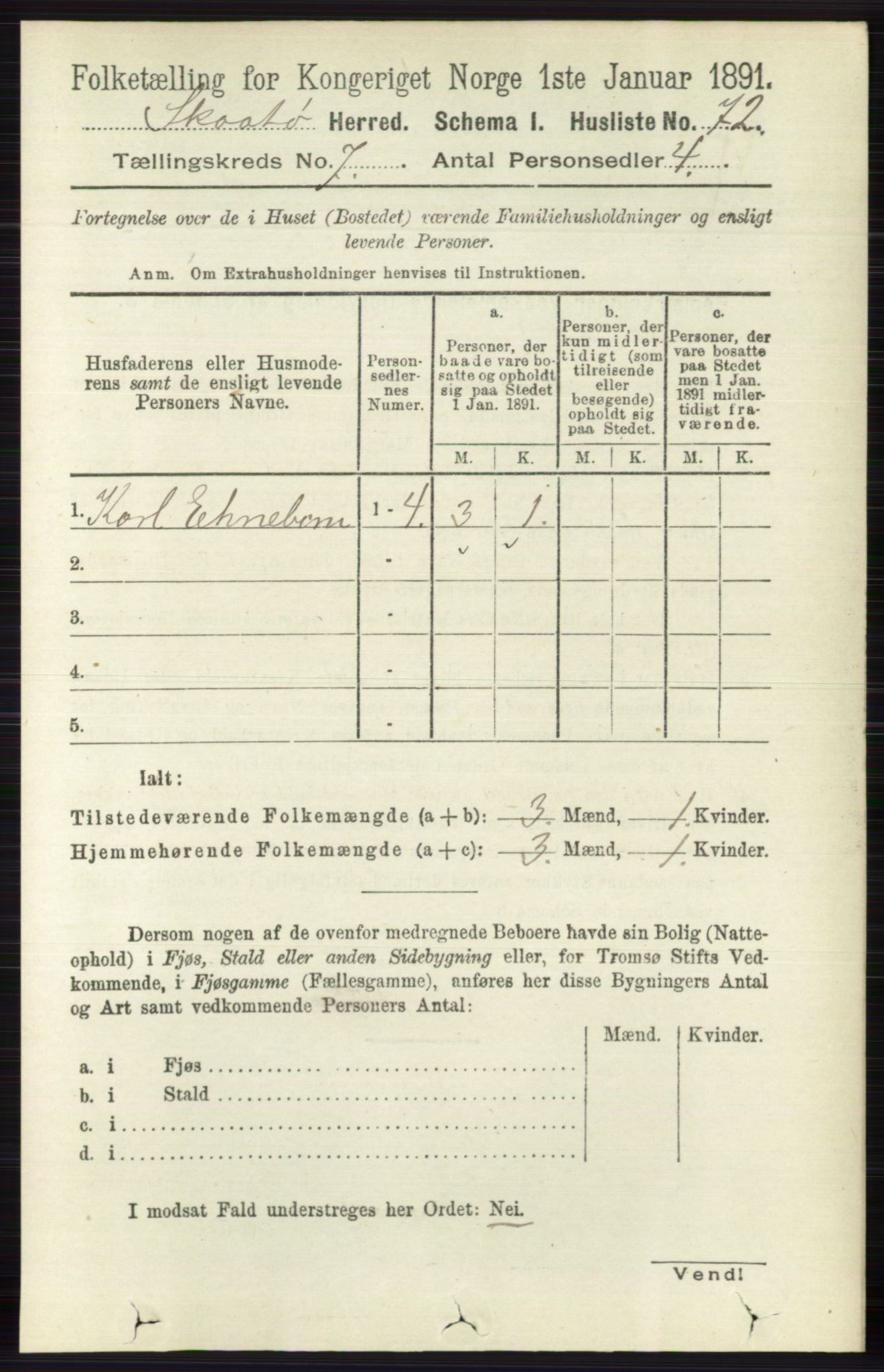 RA, 1891 census for 0815 Skåtøy, 1891, p. 3070