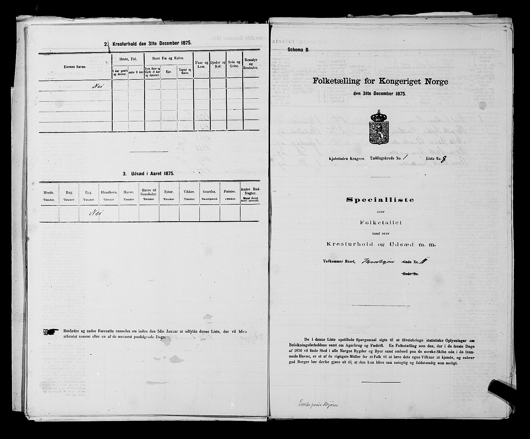 SAKO, 1875 census for 0801P Kragerø, 1875, p. 40