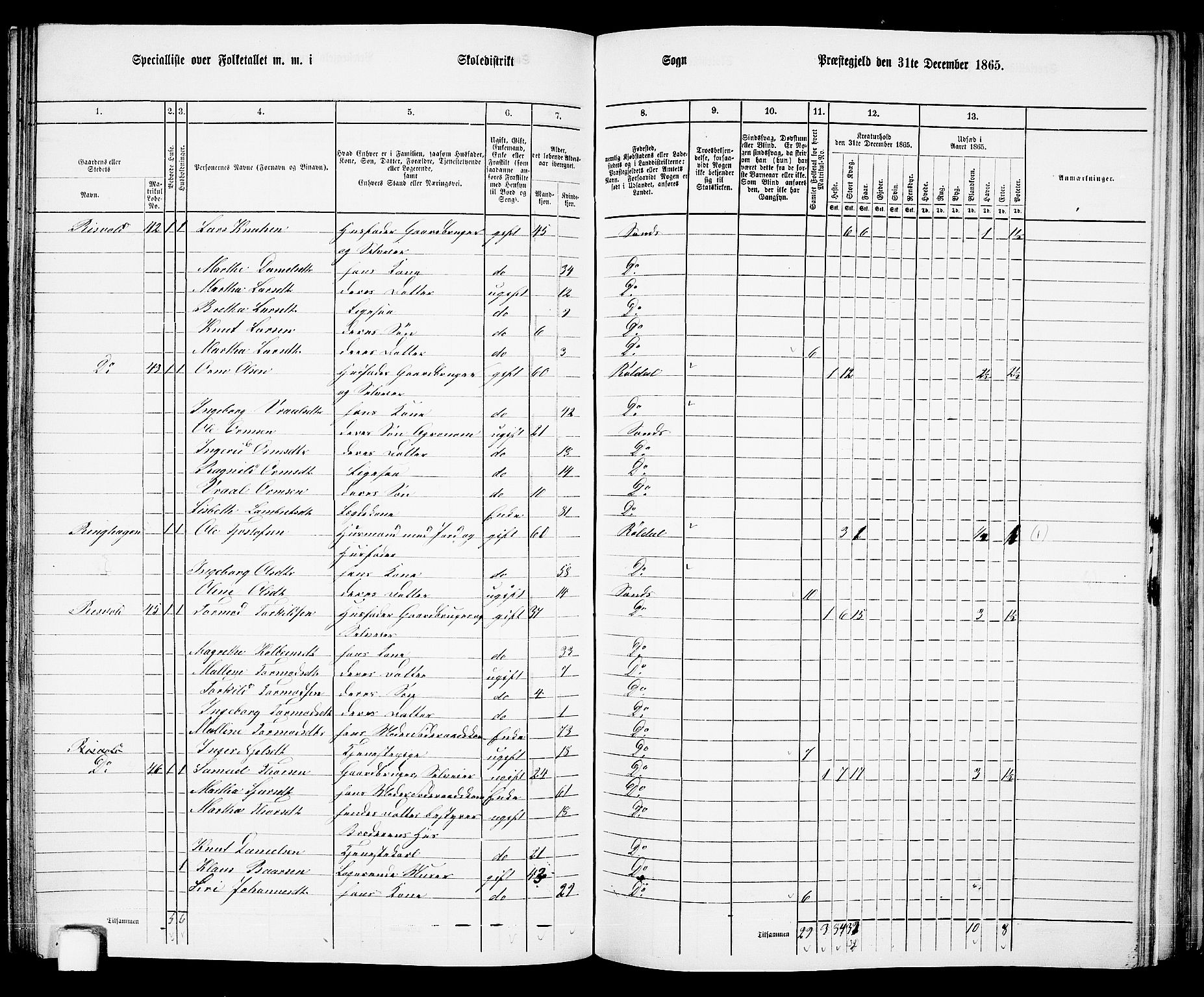 RA, 1865 census for Sand, 1865, p. 101