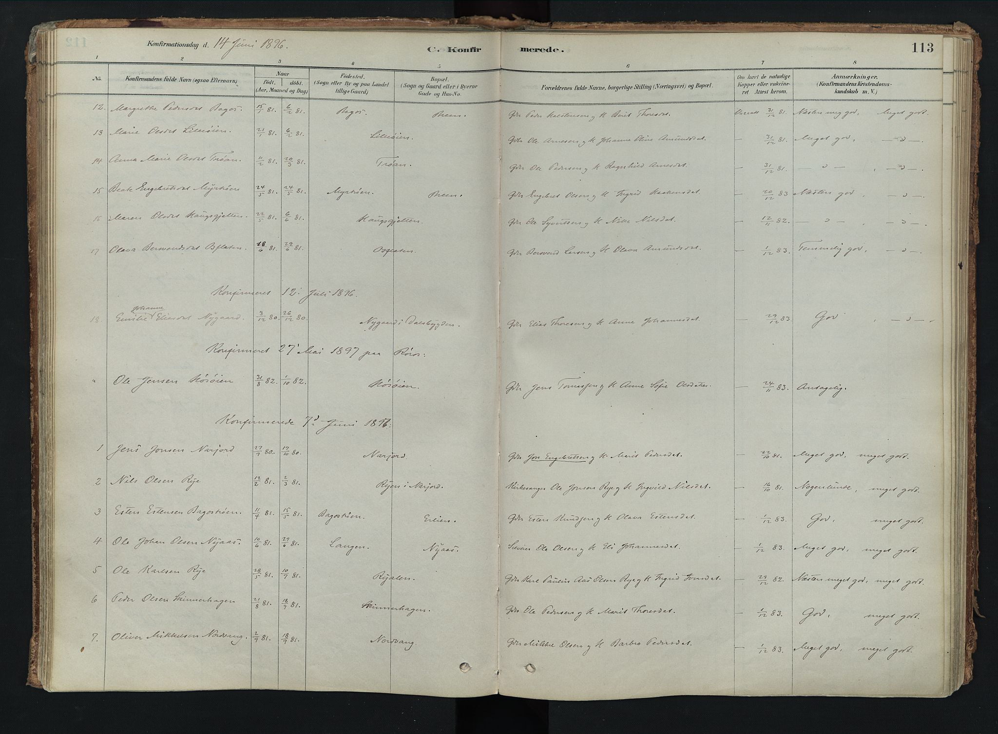 Tolga prestekontor, SAH/PREST-062/K/L0008: Parish register (official) no. 8, 1877-1910, p. 113
