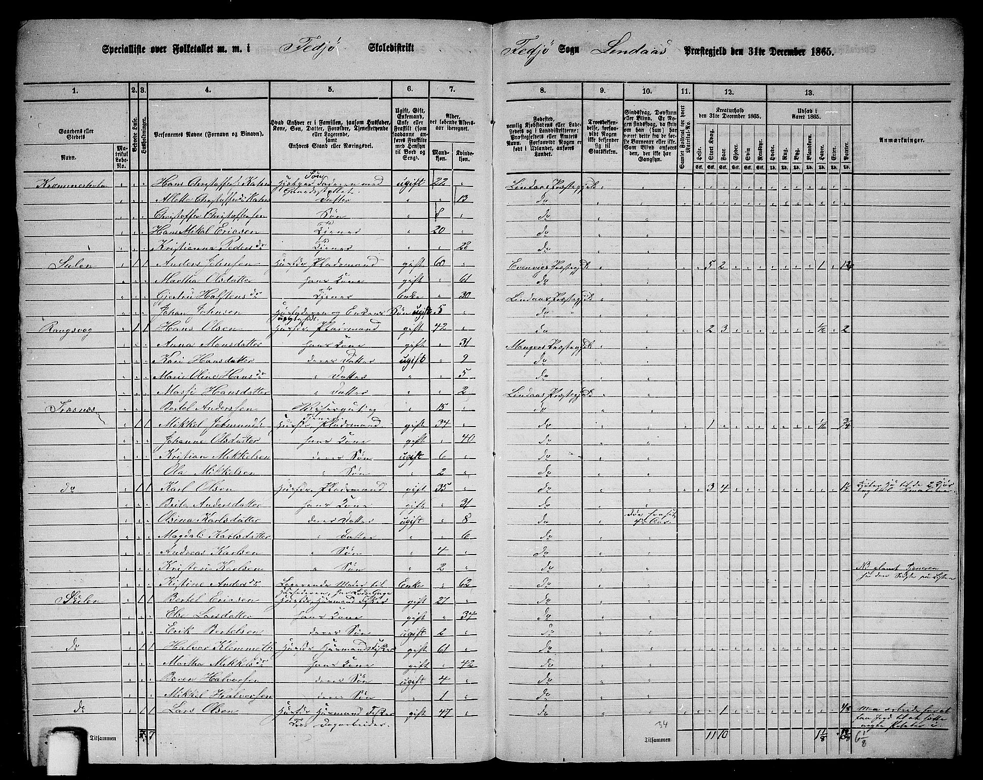 RA, 1865 census for Lindås, 1865, p. 291