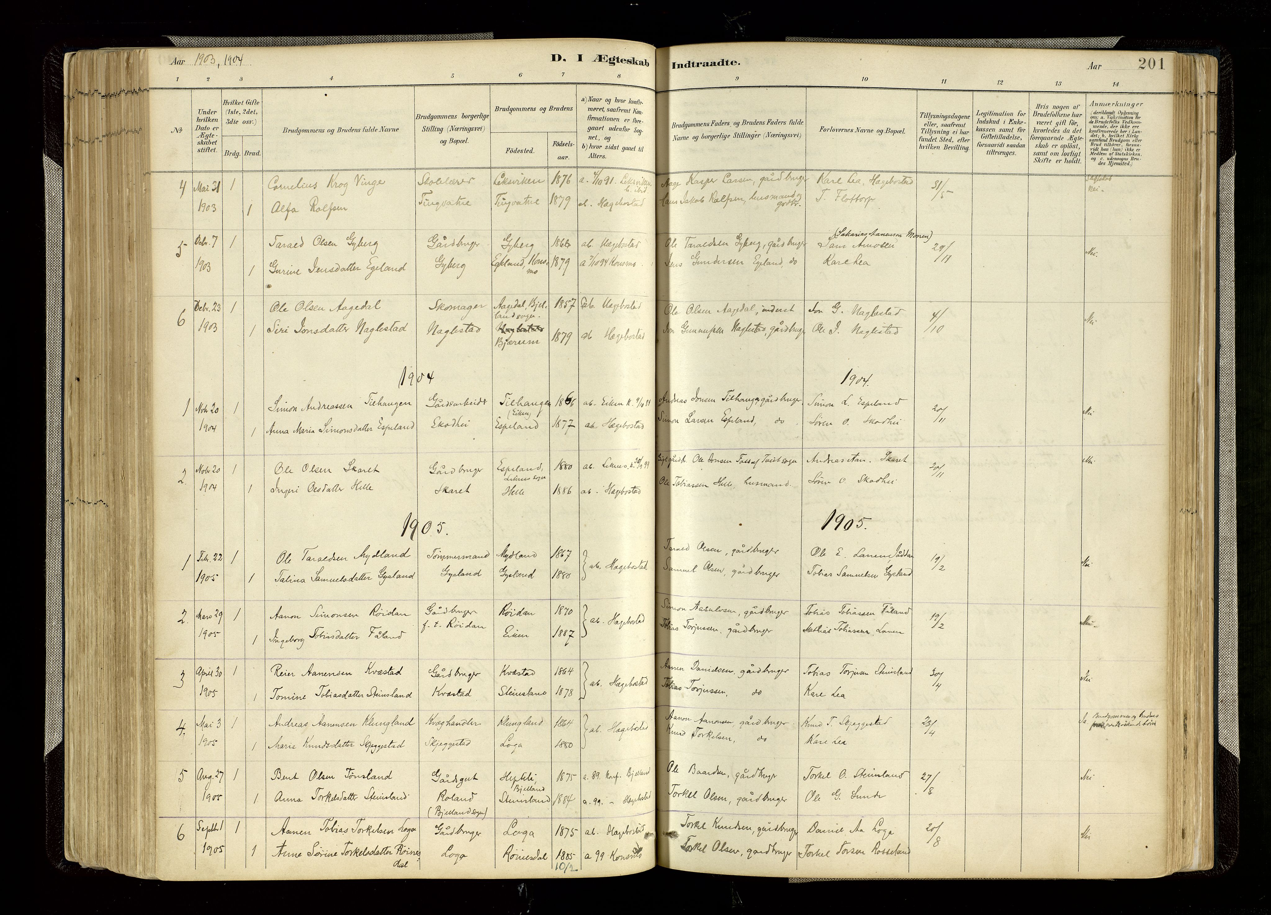 Hægebostad sokneprestkontor, AV/SAK-1111-0024/F/Fa/Faa/L0006: Parish register (official) no. A 6, 1887-1929, p. 201