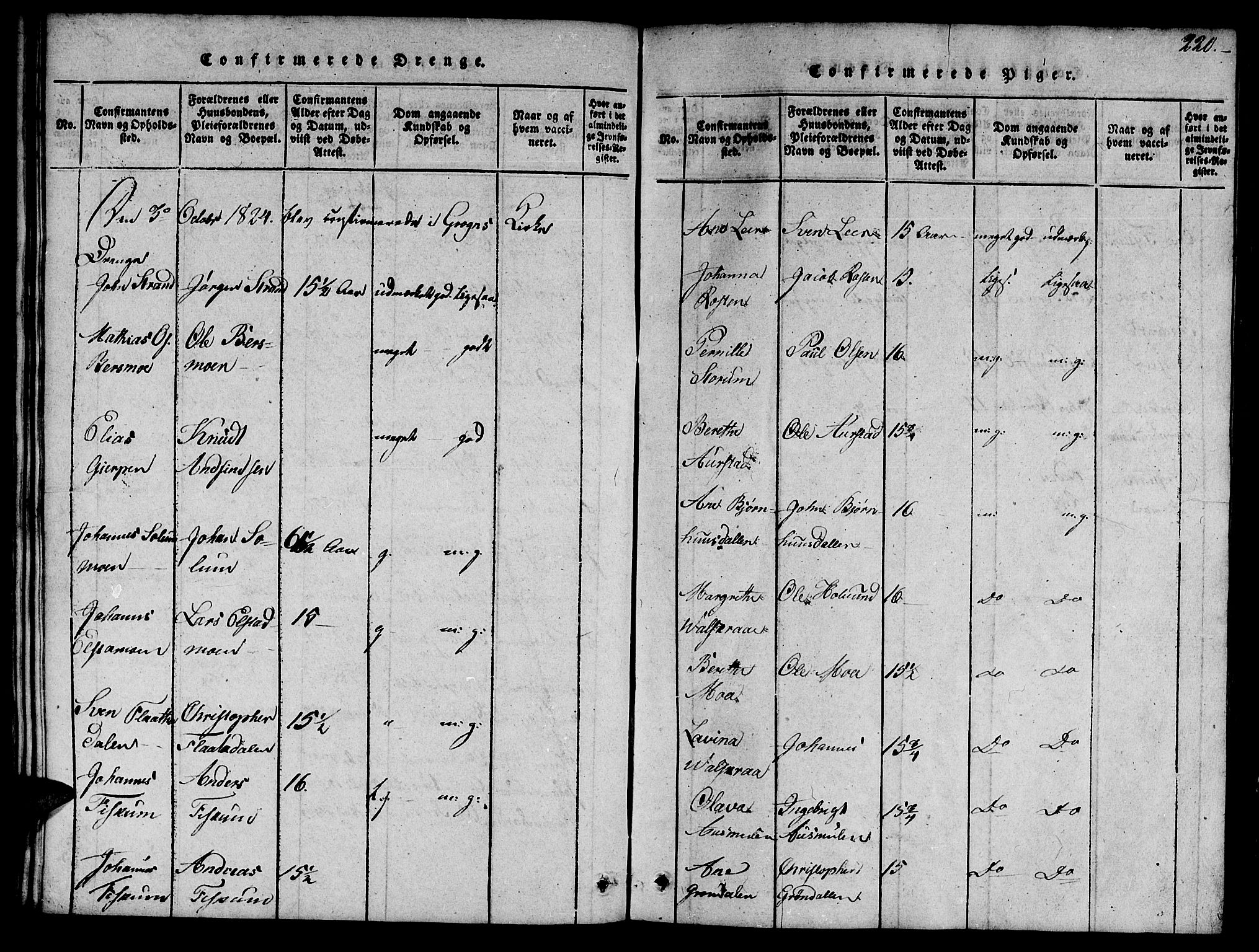 Ministerialprotokoller, klokkerbøker og fødselsregistre - Nord-Trøndelag, SAT/A-1458/758/L0521: Parish register (copy) no. 758C01, 1816-1825, p. 220