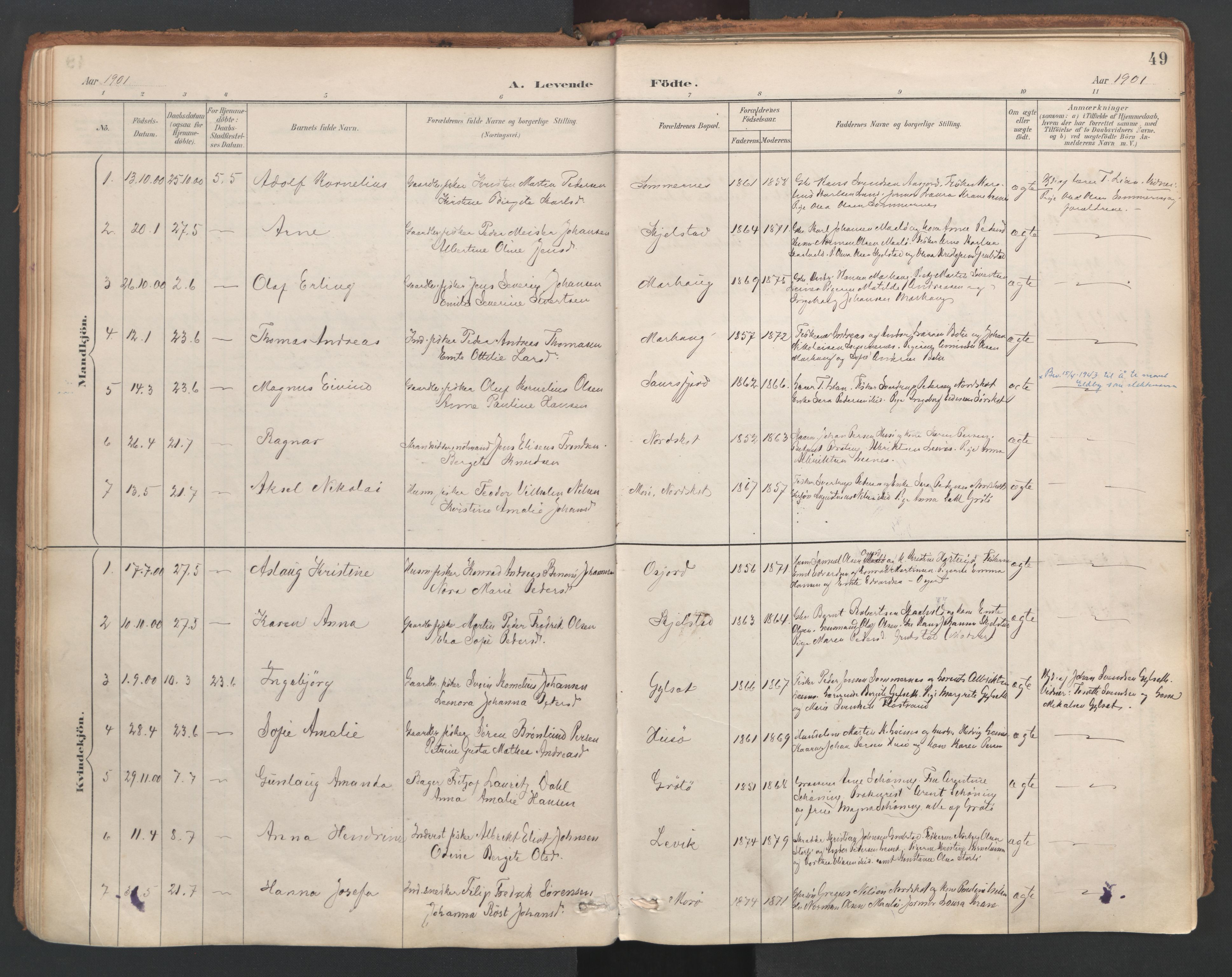 Ministerialprotokoller, klokkerbøker og fødselsregistre - Nordland, AV/SAT-A-1459/857/L0822: Parish register (official) no. 857A02, 1890-1917, p. 49