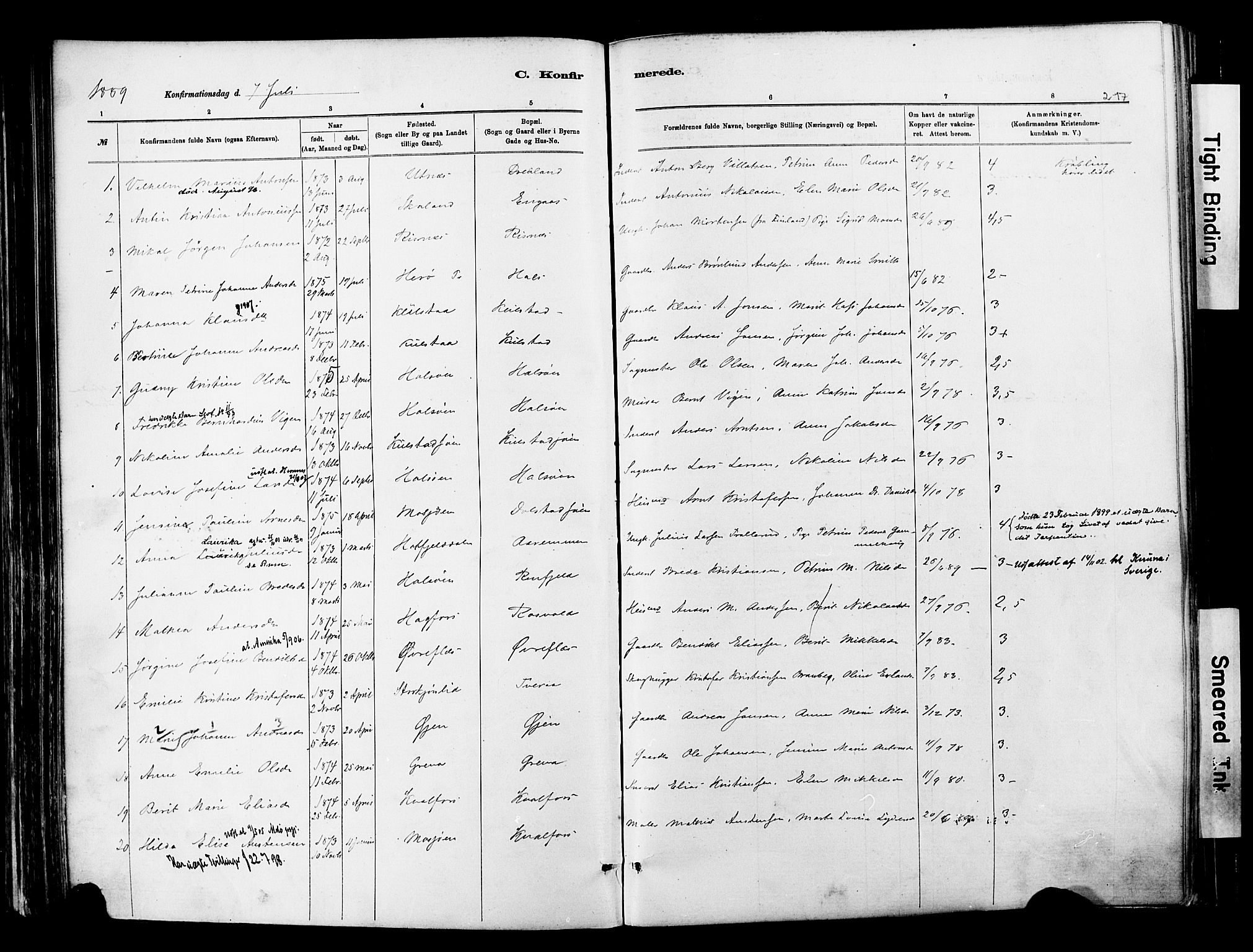 Ministerialprotokoller, klokkerbøker og fødselsregistre - Nordland, AV/SAT-A-1459/820/L0295: Parish register (official) no. 820A16, 1880-1896, p. 217