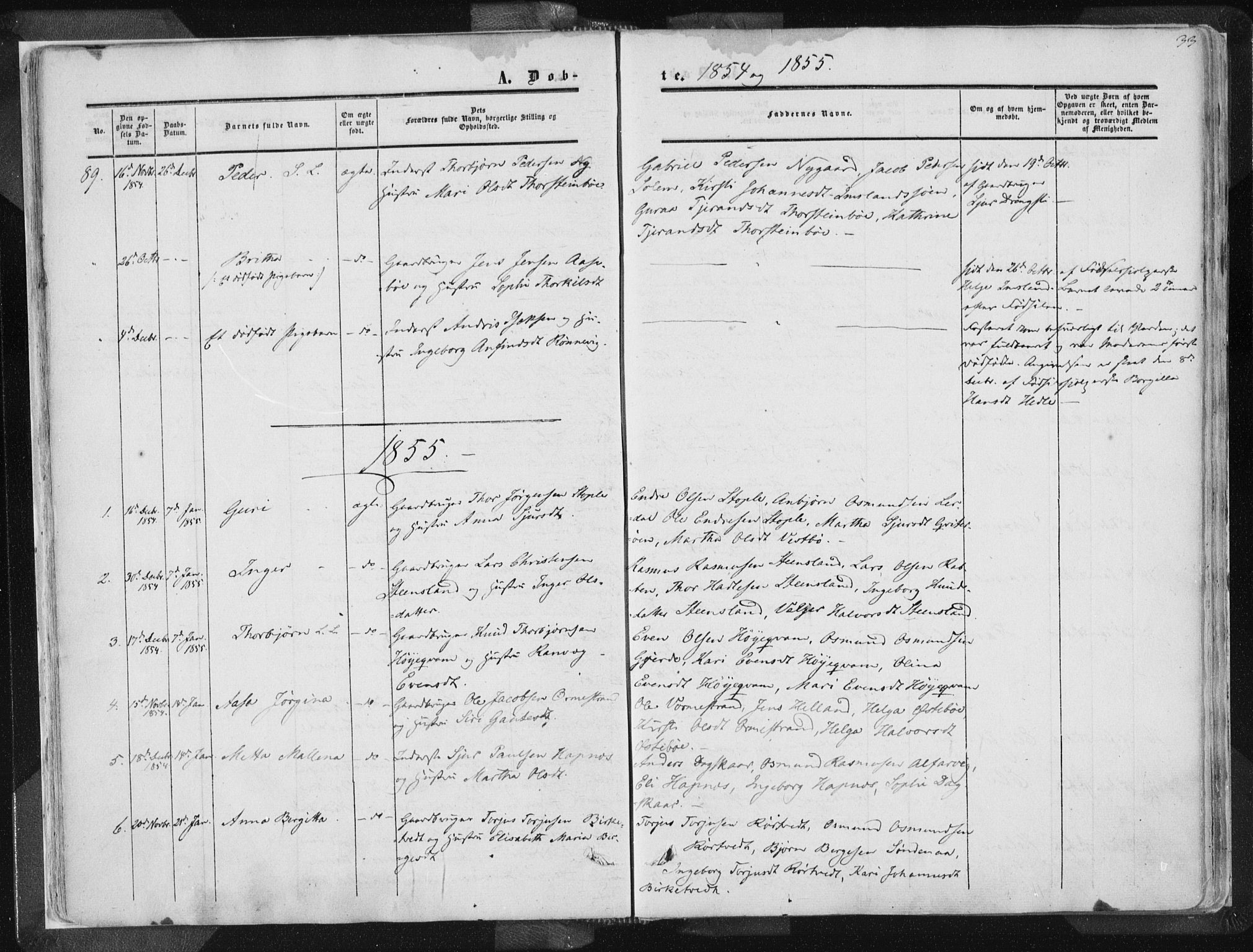 Vikedal sokneprestkontor, AV/SAST-A-101840/01/IV: Parish register (official) no. A 6.1, 1851-1867, p. 33