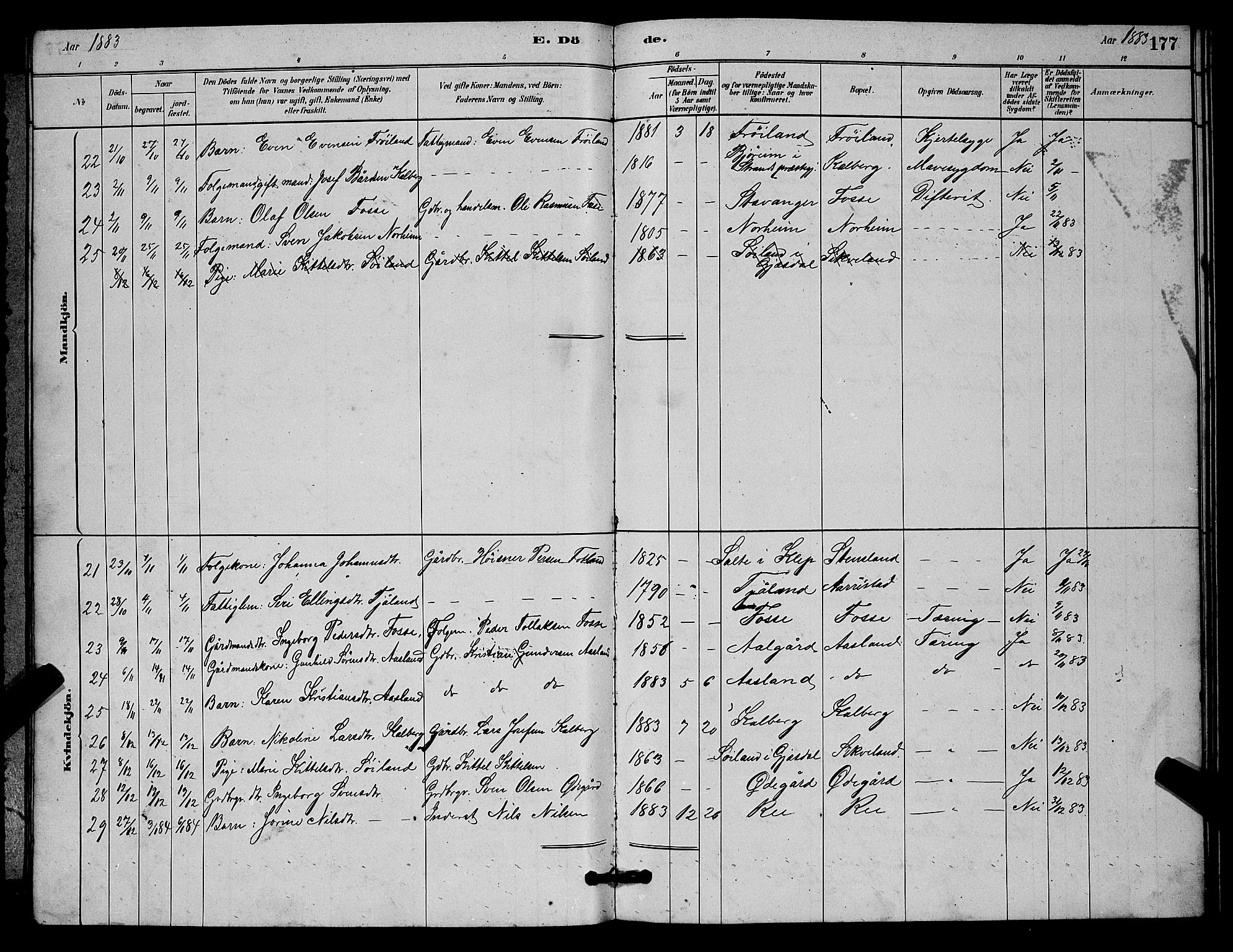 Lye sokneprestkontor, AV/SAST-A-101794/001/30BB/L0006: Parish register (copy) no. B 6, 1879-1888, p. 177