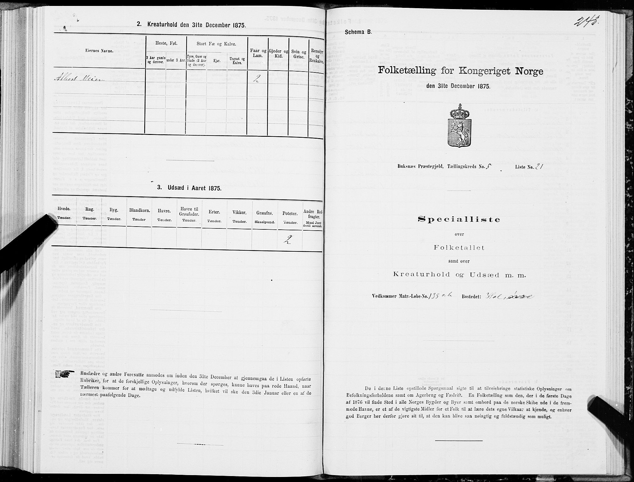 SAT, 1875 census for 1860P Buksnes, 1875, p. 2243