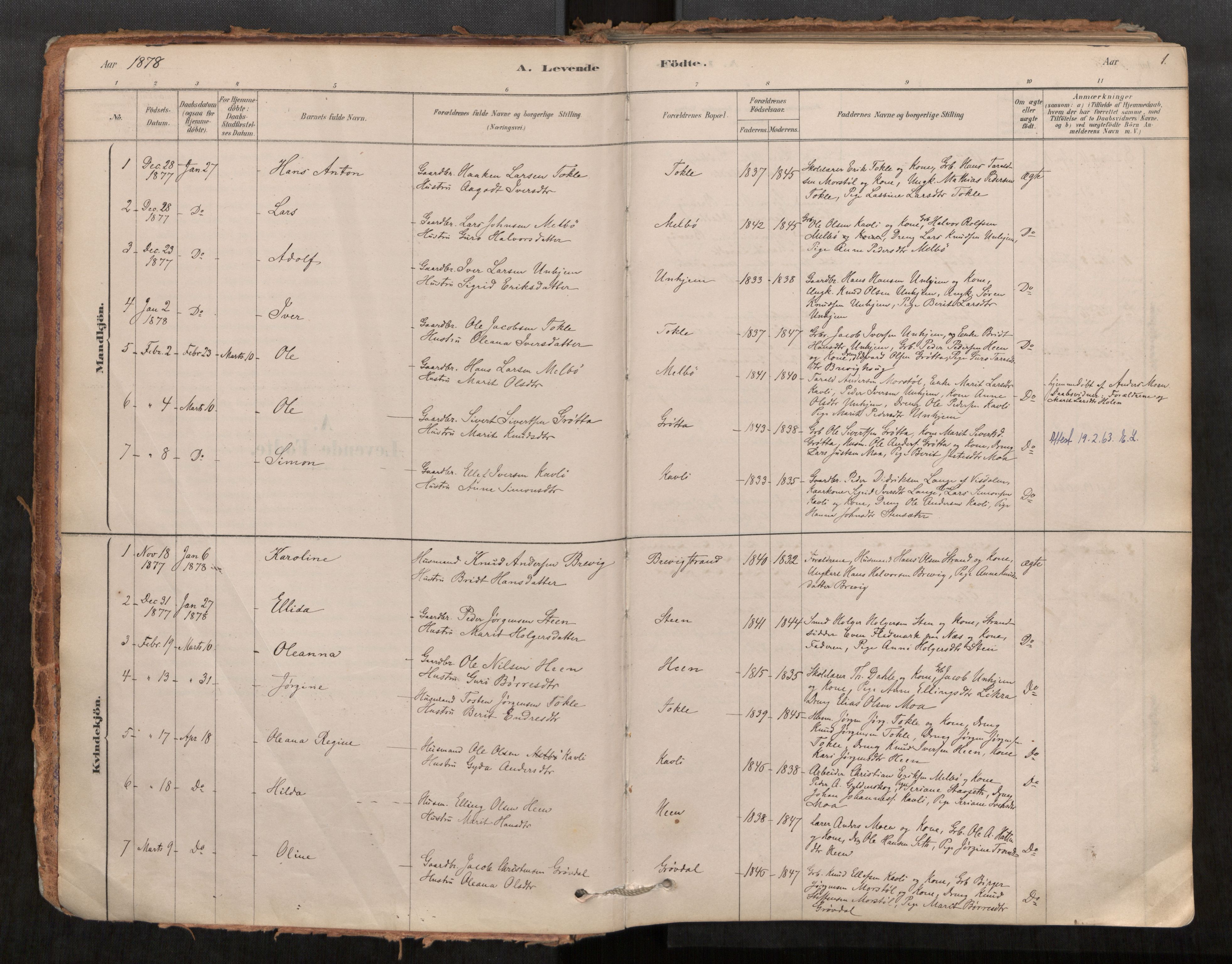 Ministerialprotokoller, klokkerbøker og fødselsregistre - Møre og Romsdal, SAT/A-1454/545/L0594: Parish register (official) no. 545A03, 1878-1920, p. 1