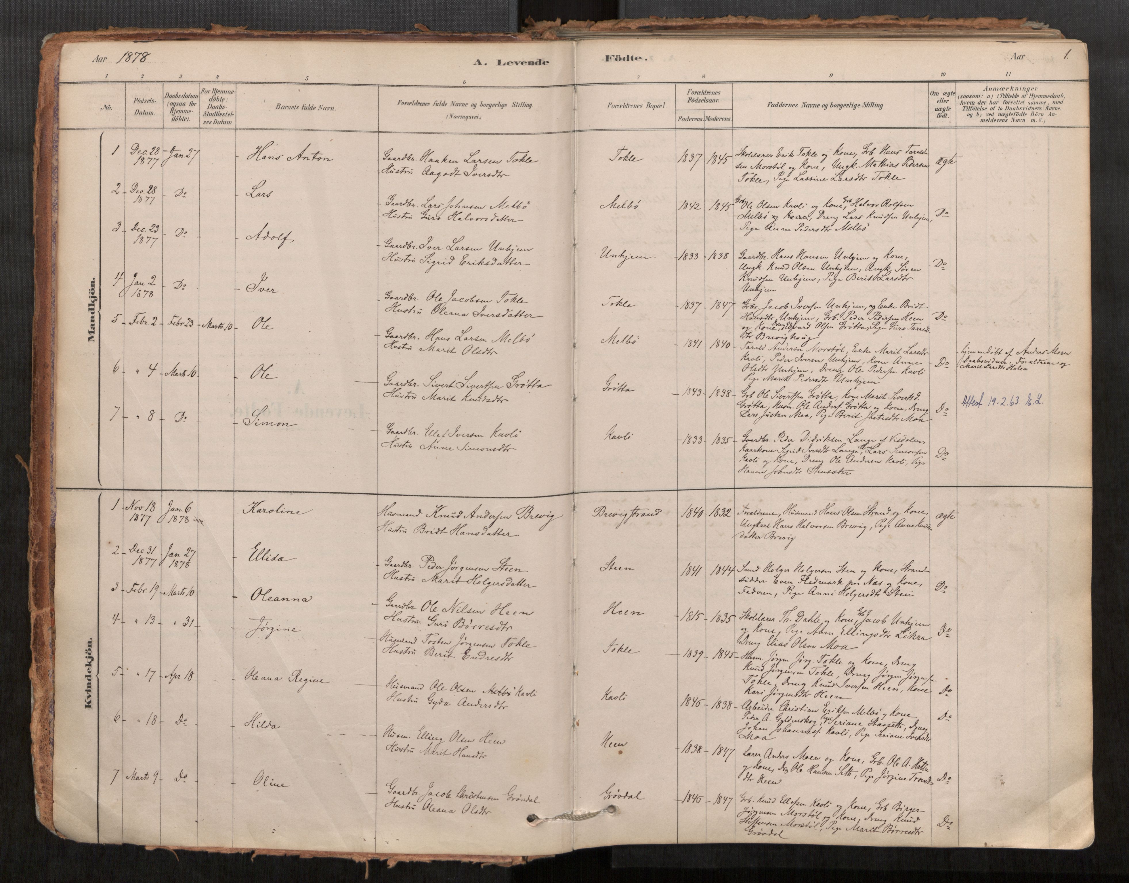 Ministerialprotokoller, klokkerbøker og fødselsregistre - Møre og Romsdal, AV/SAT-A-1454/545/L0594: Parish register (official) no. 545A03, 1878-1920, p. 1