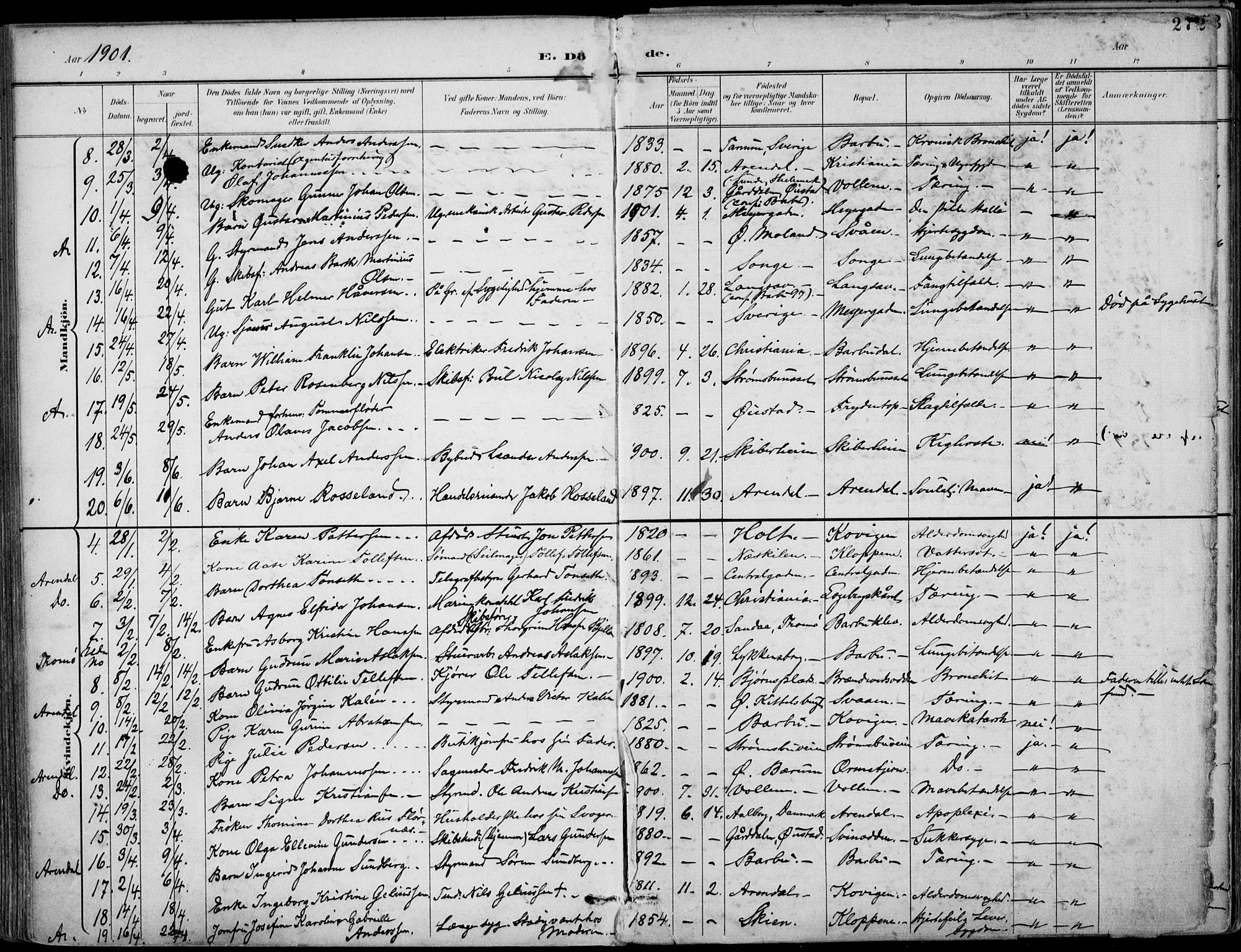 Barbu sokneprestkontor, AV/SAK-1111-0003/F/Fa/L0005: Parish register (official) no. A 5, 1899-1909, p. 272