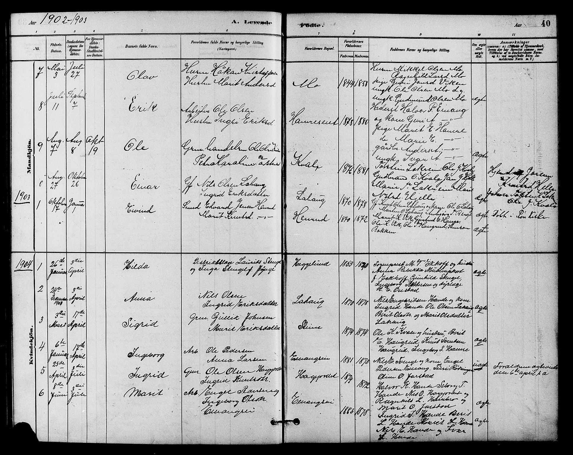 Vestre Slidre prestekontor, SAH/PREST-136/H/Ha/Hab/L0004: Parish register (copy) no. 4, 1881-1912, p. 40