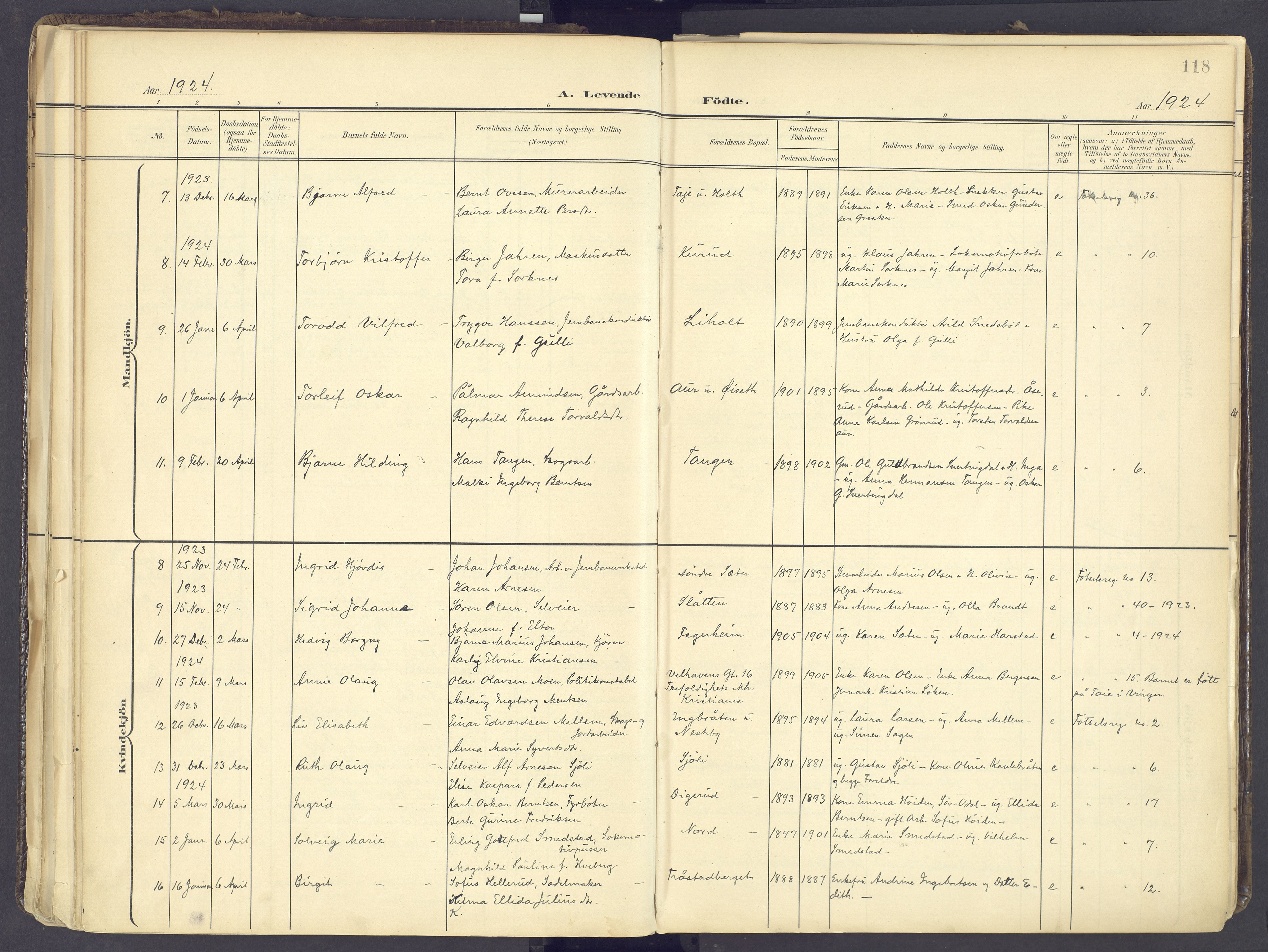 Vinger prestekontor, AV/SAH-PREST-024/H/Ha/Haa/L0017: Parish register (official) no. 17, 1901-1927, p. 118