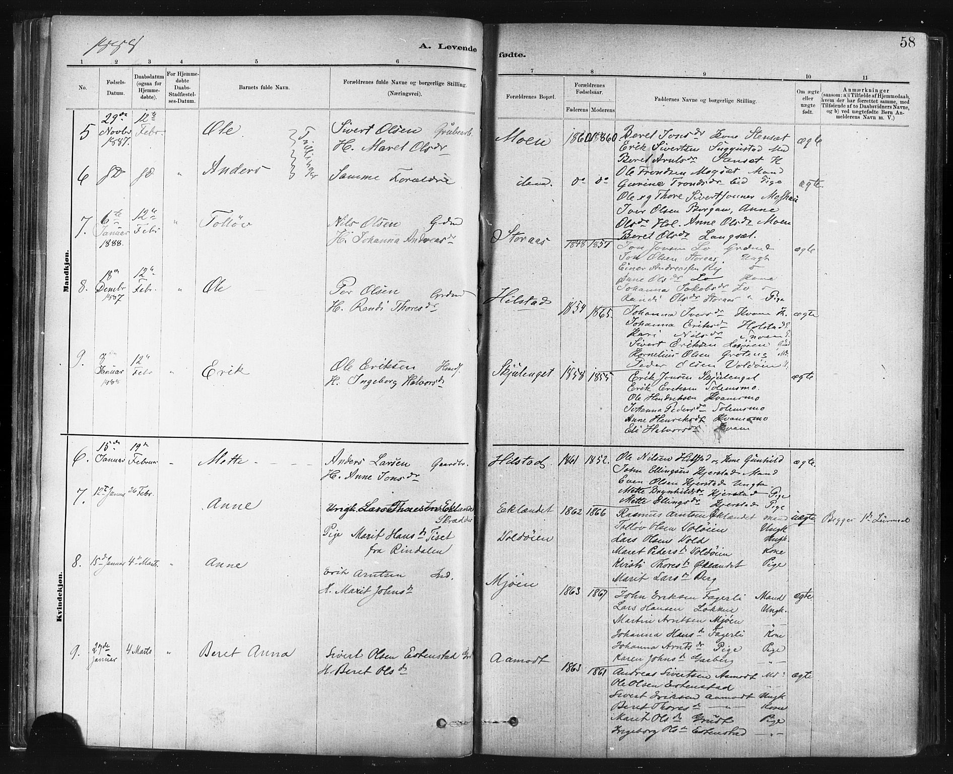 Ministerialprotokoller, klokkerbøker og fødselsregistre - Sør-Trøndelag, AV/SAT-A-1456/672/L0857: Parish register (official) no. 672A09, 1882-1893, p. 58