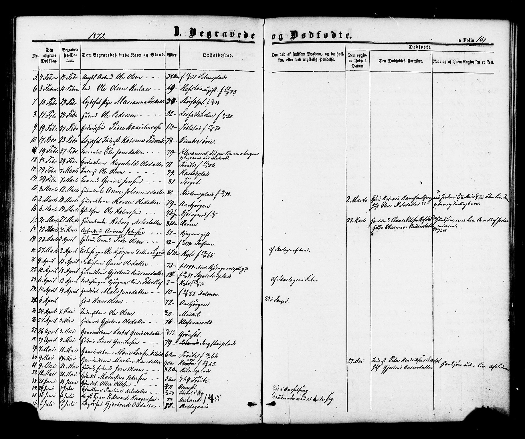 Ministerialprotokoller, klokkerbøker og fødselsregistre - Nord-Trøndelag, SAT/A-1458/703/L0029: Parish register (official) no. 703A02, 1863-1879, p. 161