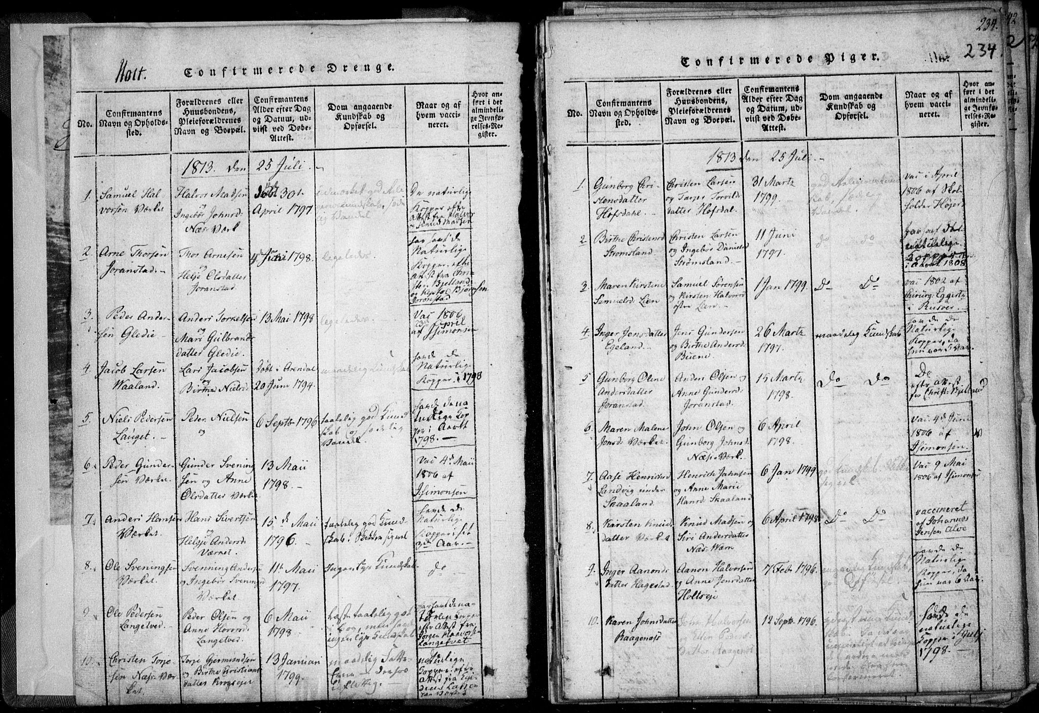 Holt sokneprestkontor, SAK/1111-0021/F/Fa/L0005: Parish register (official) no. A 5, 1813-1821, p. 234