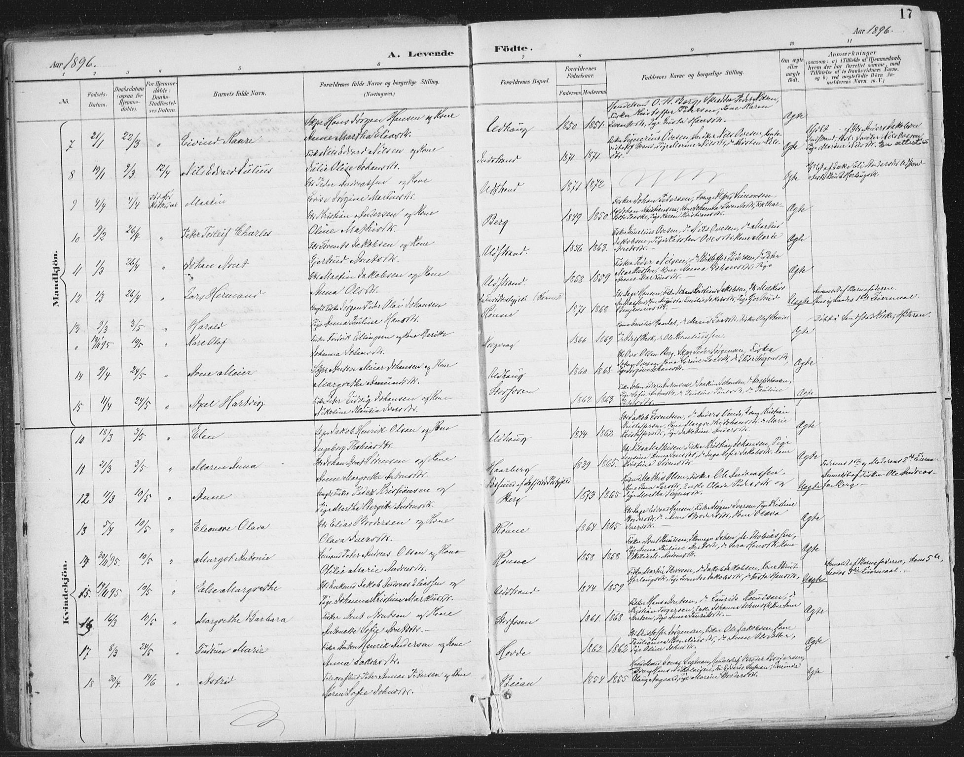 Ministerialprotokoller, klokkerbøker og fødselsregistre - Sør-Trøndelag, AV/SAT-A-1456/659/L0743: Parish register (official) no. 659A13, 1893-1910, p. 17