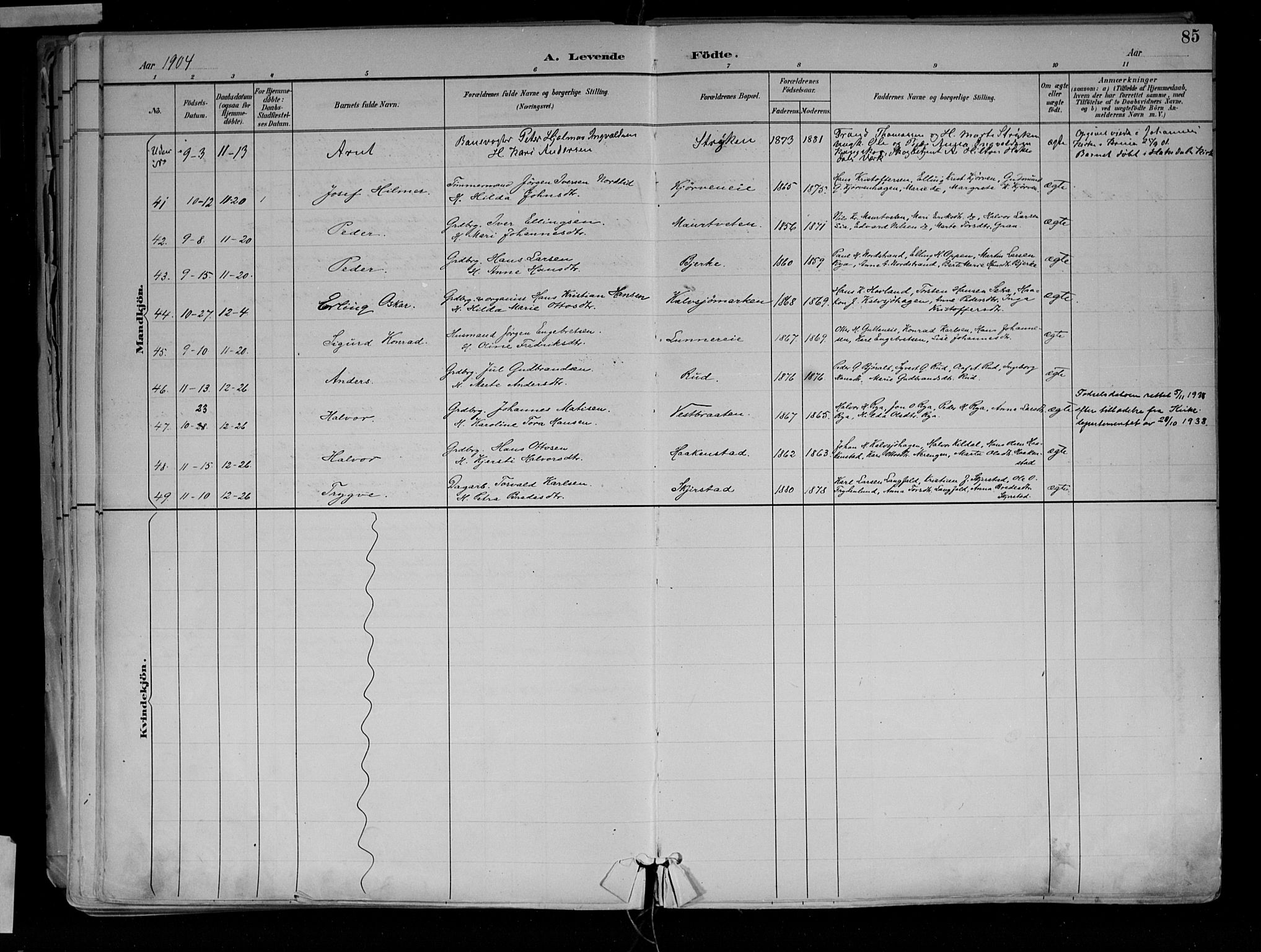 Jevnaker prestekontor, SAH/PREST-116/H/Ha/Haa/L0010: Parish register (official) no. 10, 1891-1906, p. 85