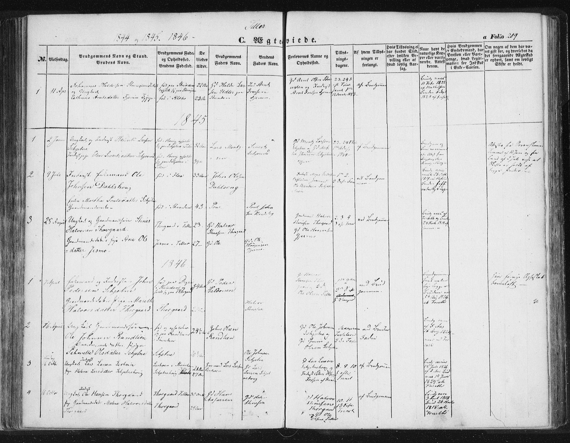 Ministerialprotokoller, klokkerbøker og fødselsregistre - Sør-Trøndelag, SAT/A-1456/618/L0441: Parish register (official) no. 618A05, 1843-1862, p. 209