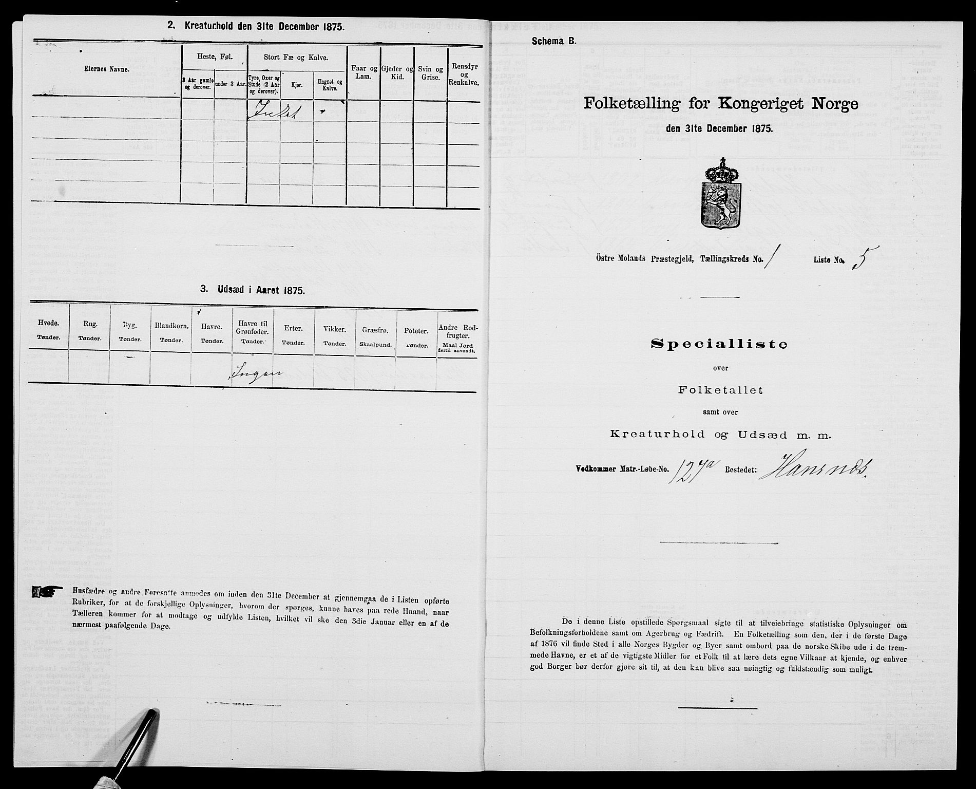 SAK, 1875 census for 0918P Austre Moland, 1875, p. 117