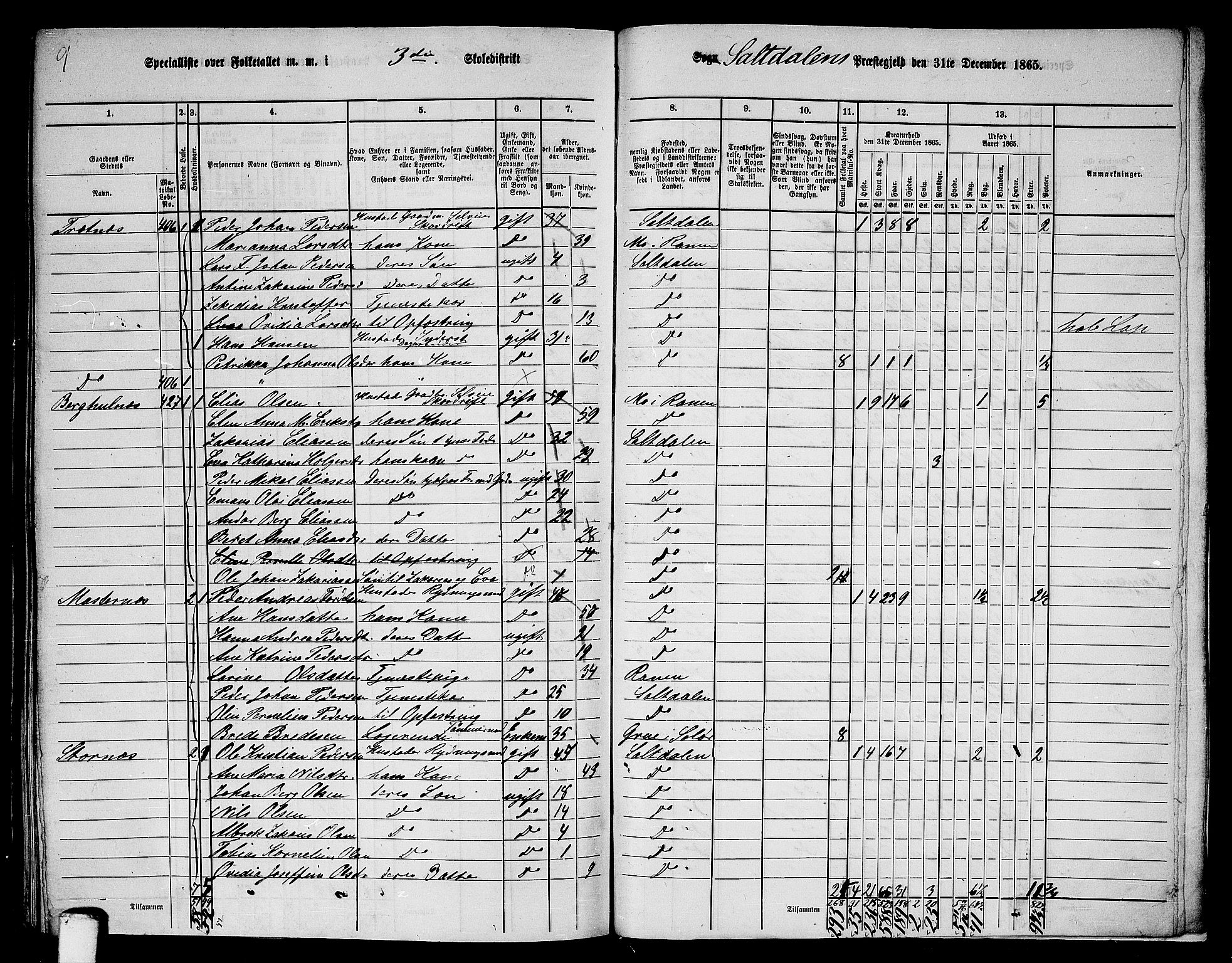 RA, 1865 census for Saltdal, 1865, p. 68