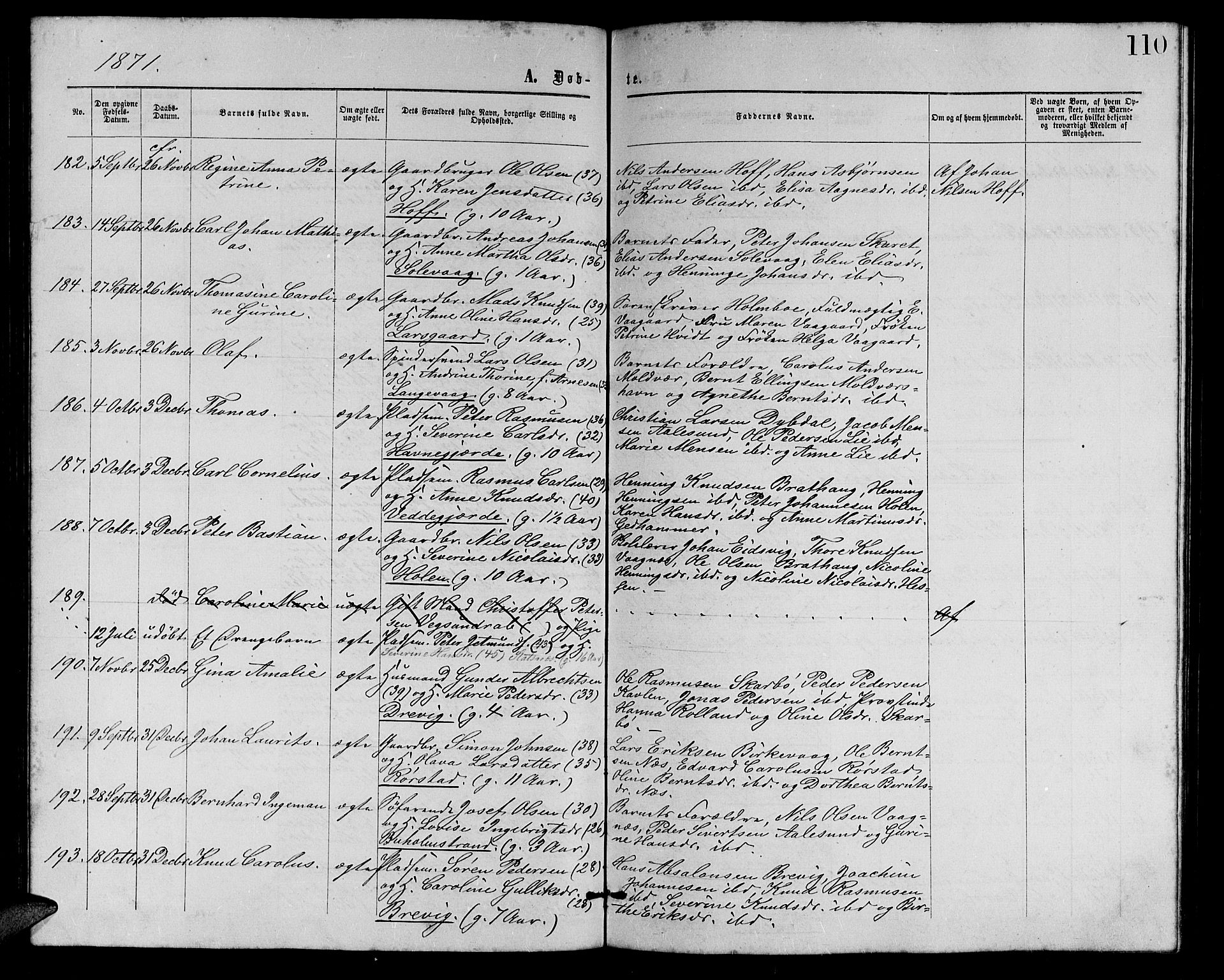 Ministerialprotokoller, klokkerbøker og fødselsregistre - Møre og Romsdal, AV/SAT-A-1454/528/L0428: Parish register (copy) no. 528C09, 1864-1880, p. 110