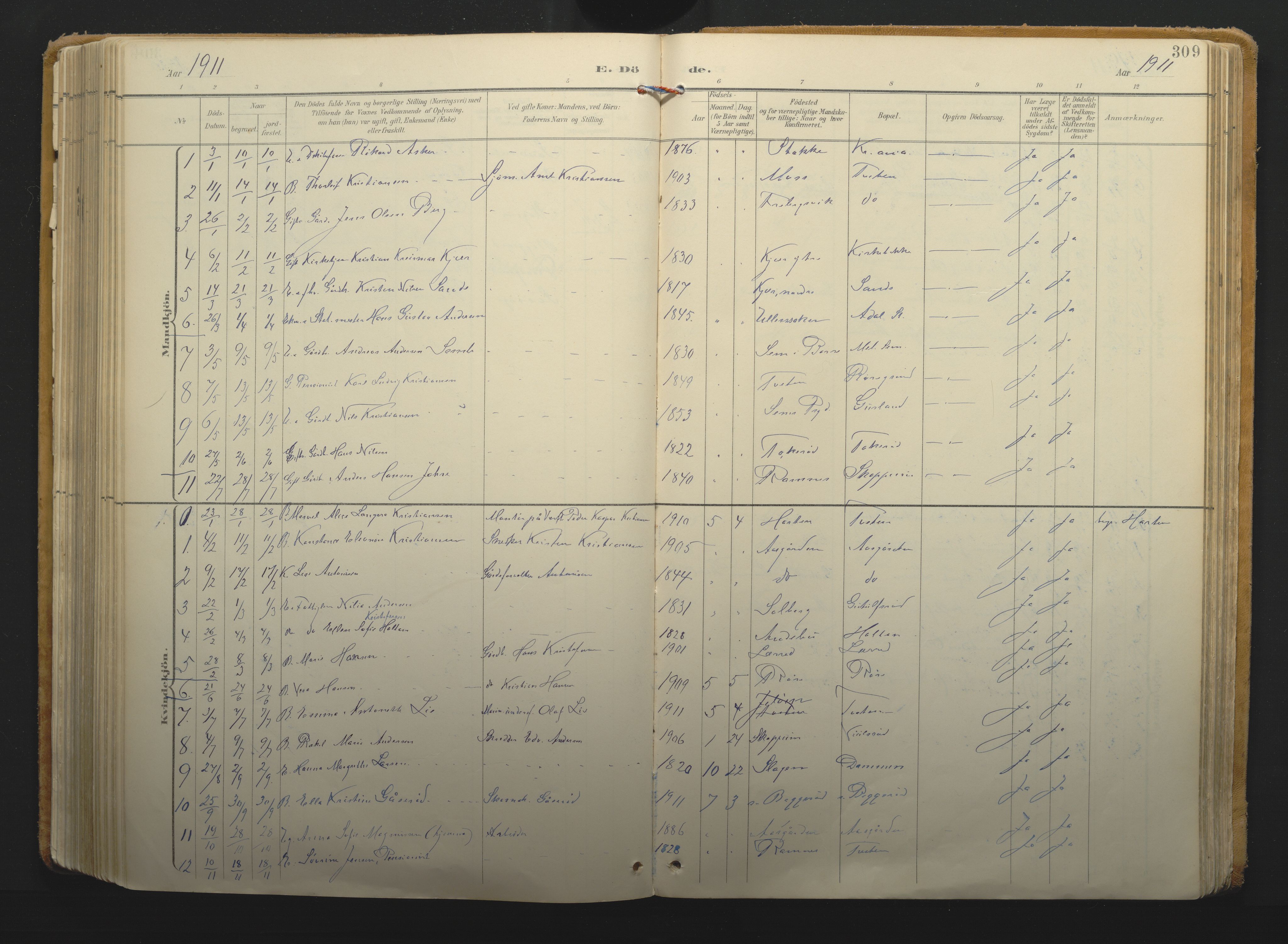 Borre kirkebøker, AV/SAKO-A-338/F/Fa/L0011: Parish register (official) no. I 11, 1897-1921, p. 309