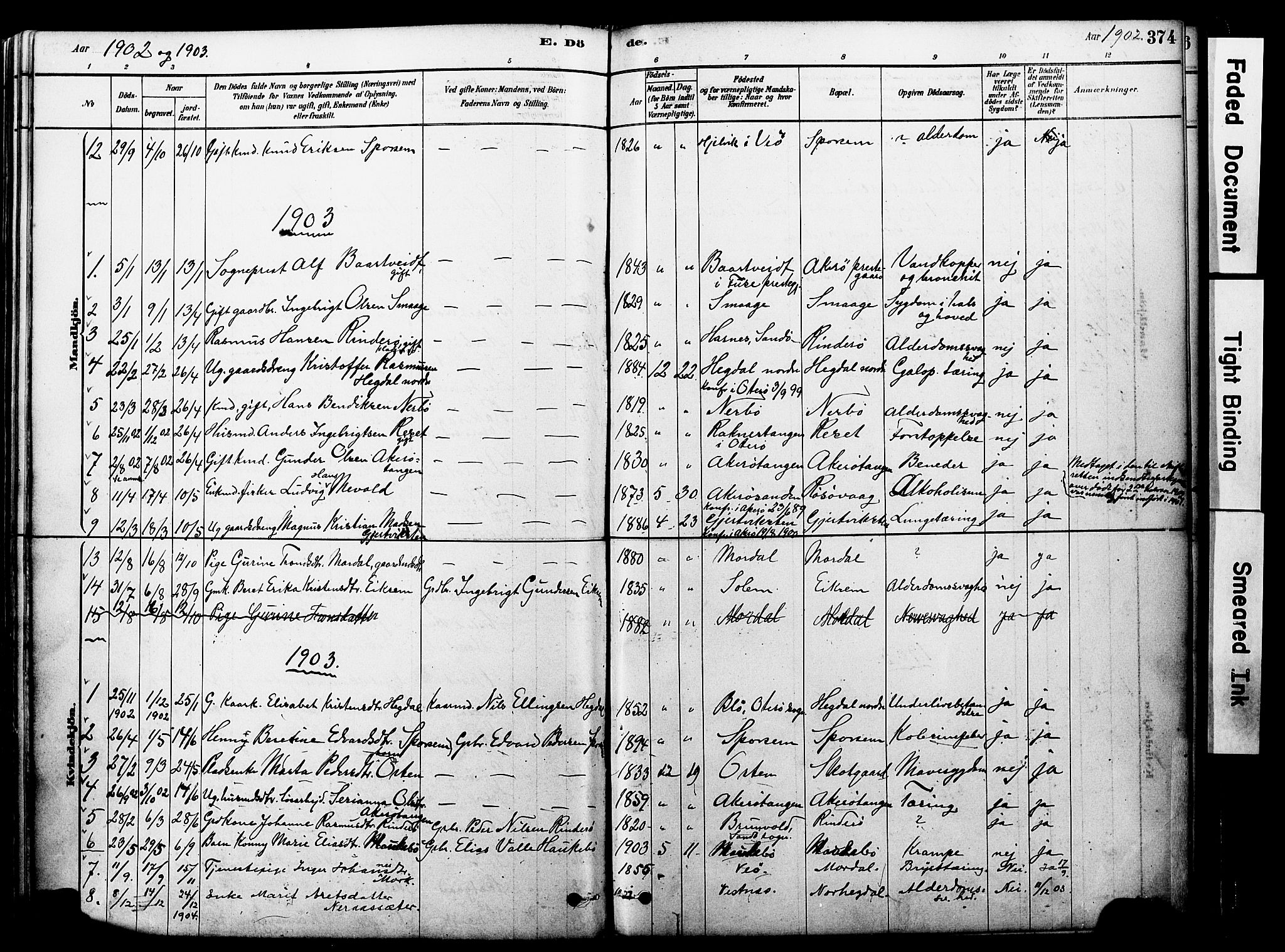 Ministerialprotokoller, klokkerbøker og fødselsregistre - Møre og Romsdal, SAT/A-1454/560/L0721: Parish register (official) no. 560A05, 1878-1917, p. 374