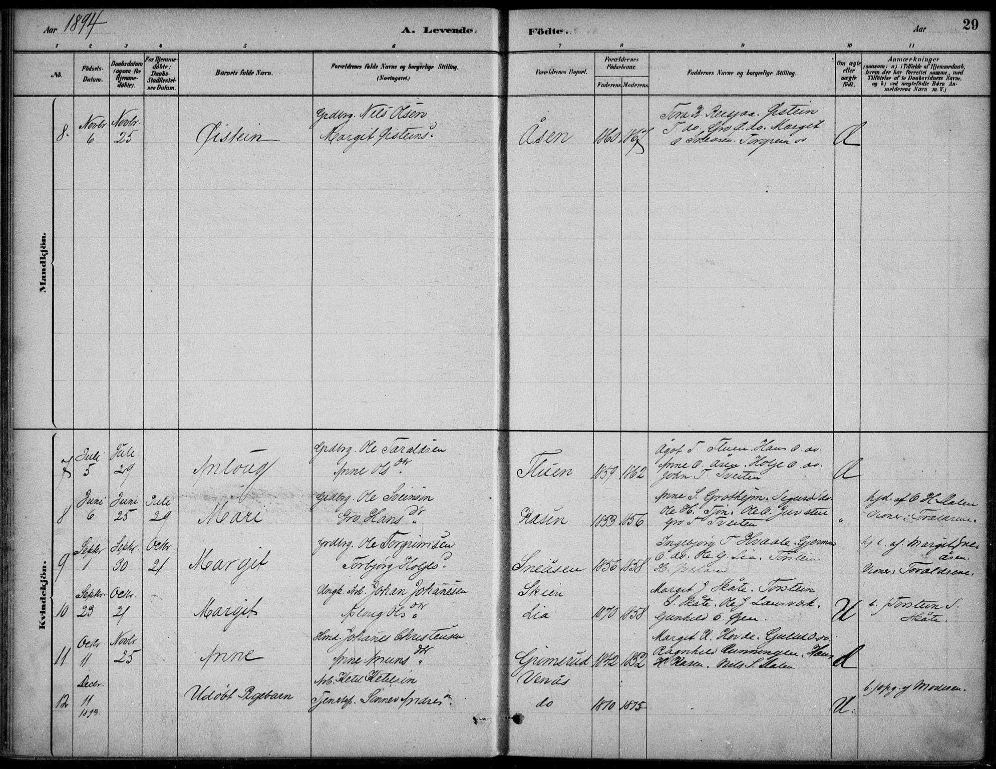 Hjartdal kirkebøker, SAKO/A-270/F/Fc/L0002: Parish register (official) no. III 2, 1880-1936, p. 29