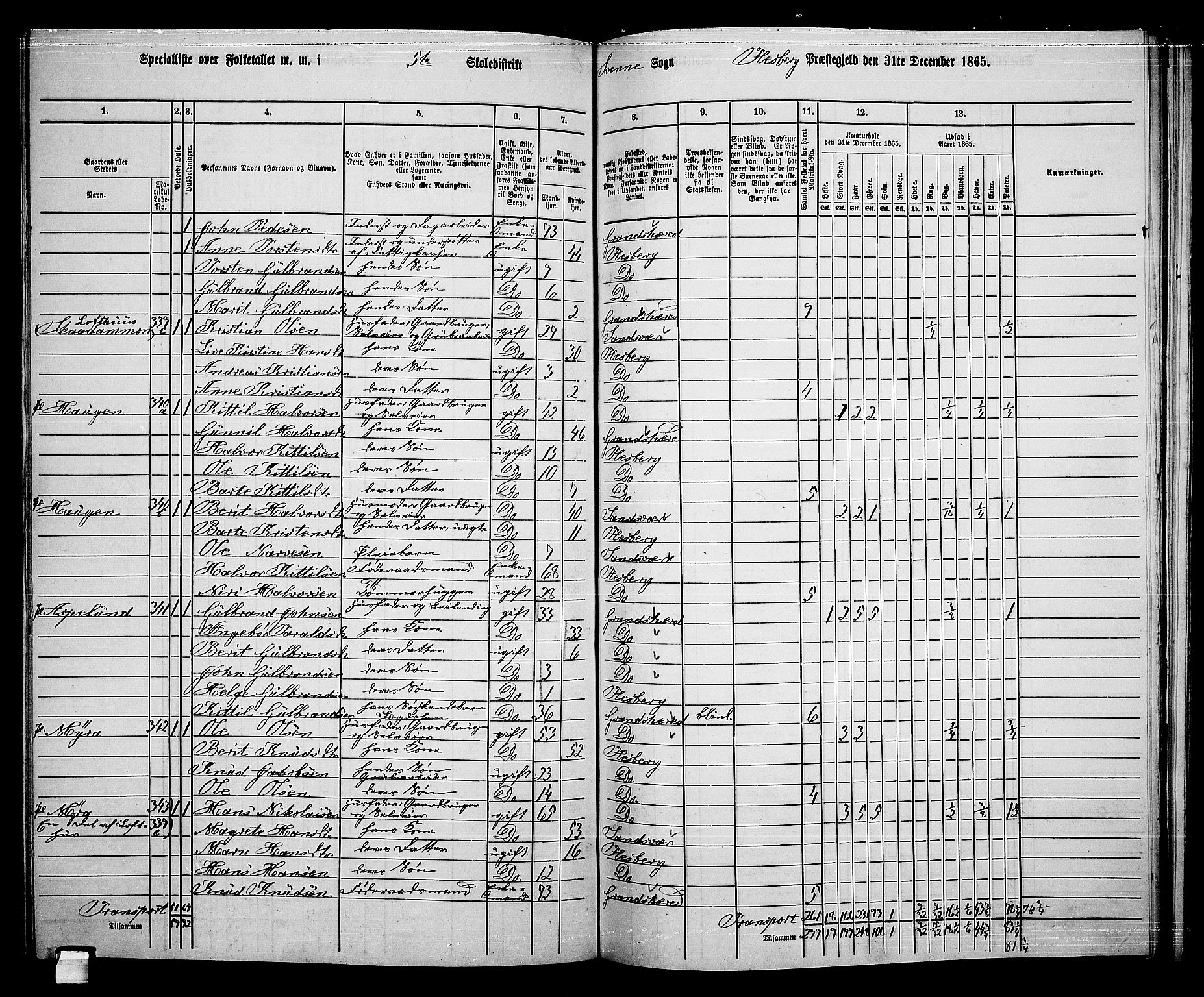 RA, 1865 census for Flesberg, 1865, p. 99