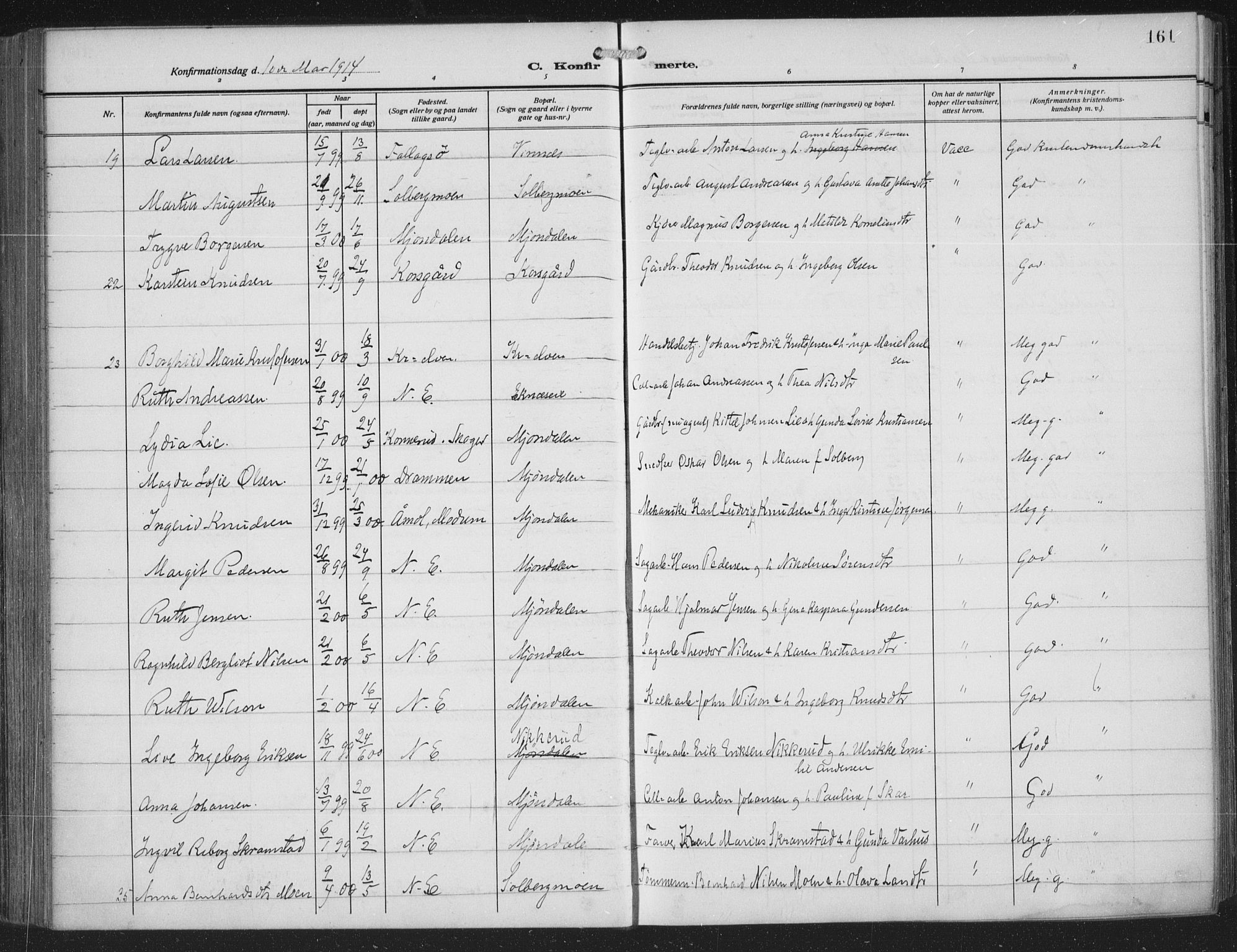 Nedre Eiker kirkebøker, AV/SAKO-A-612/F/Fa/L0007: Parish register (official) no. 7, 1912-1918, p. 161